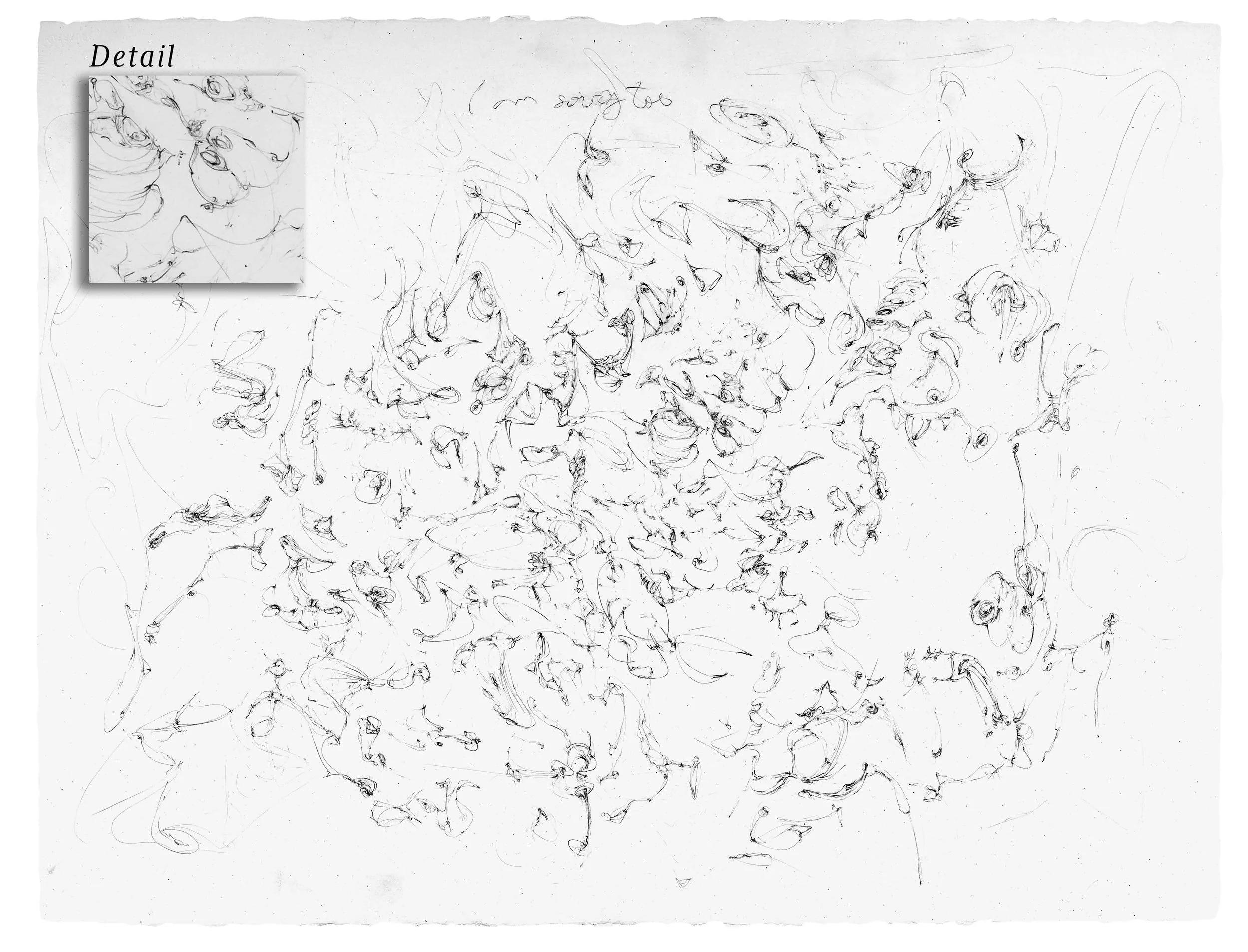 I Am Sorry Too,  Pencil on Arches 221/2"x30"