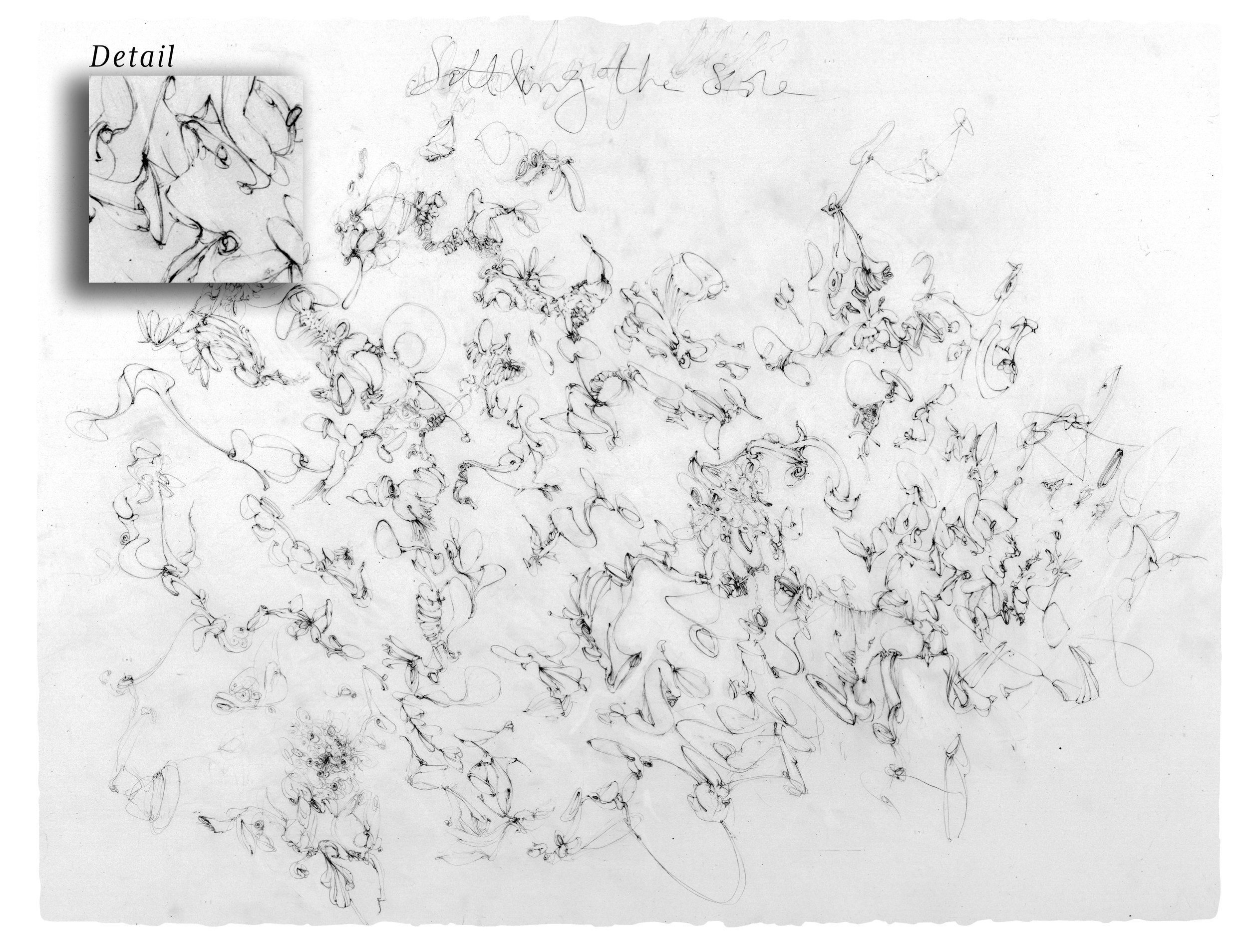 Chlorophylous,  Pencil on Arches 221/2"x30"