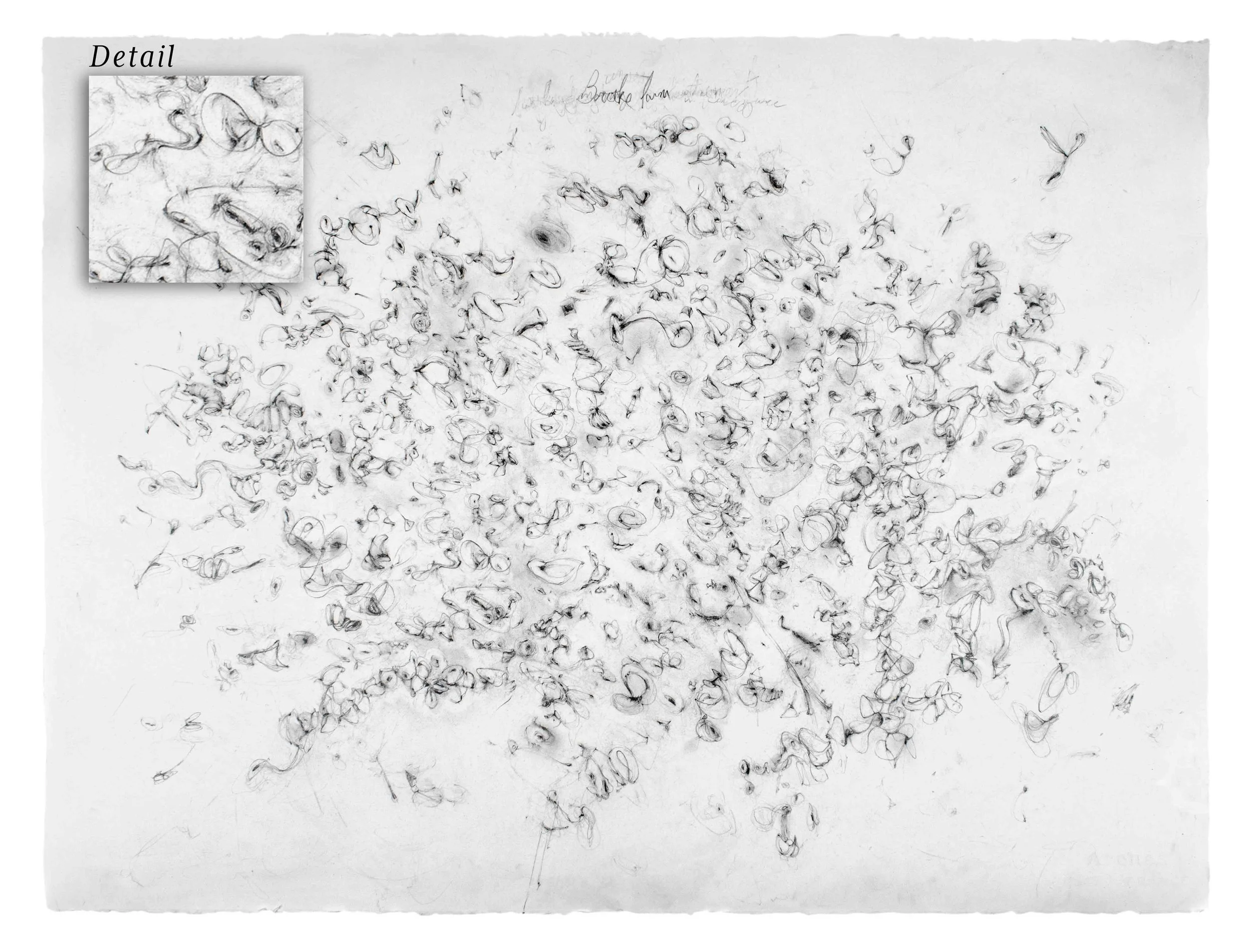 Brooke Farm,  Pencil on Arches 221/2"x30"