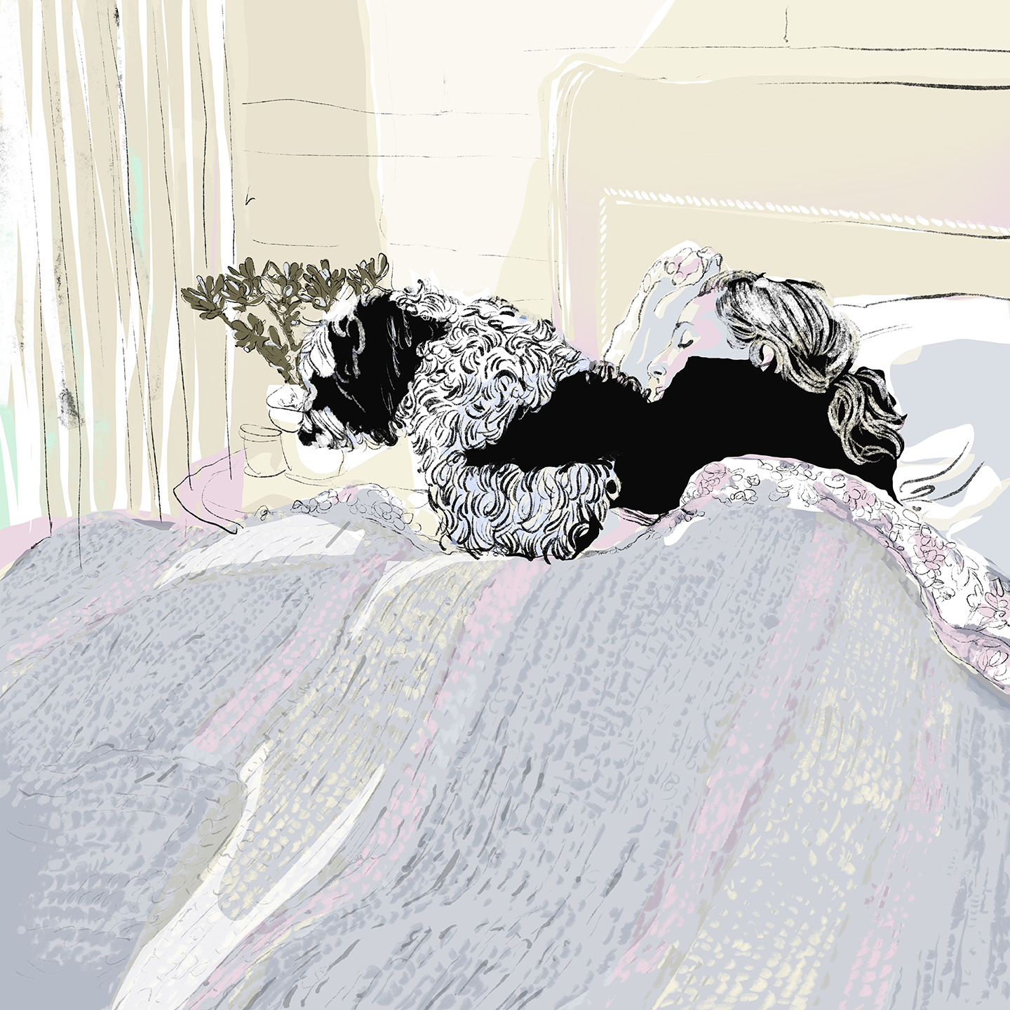 Grey Sleeping.png