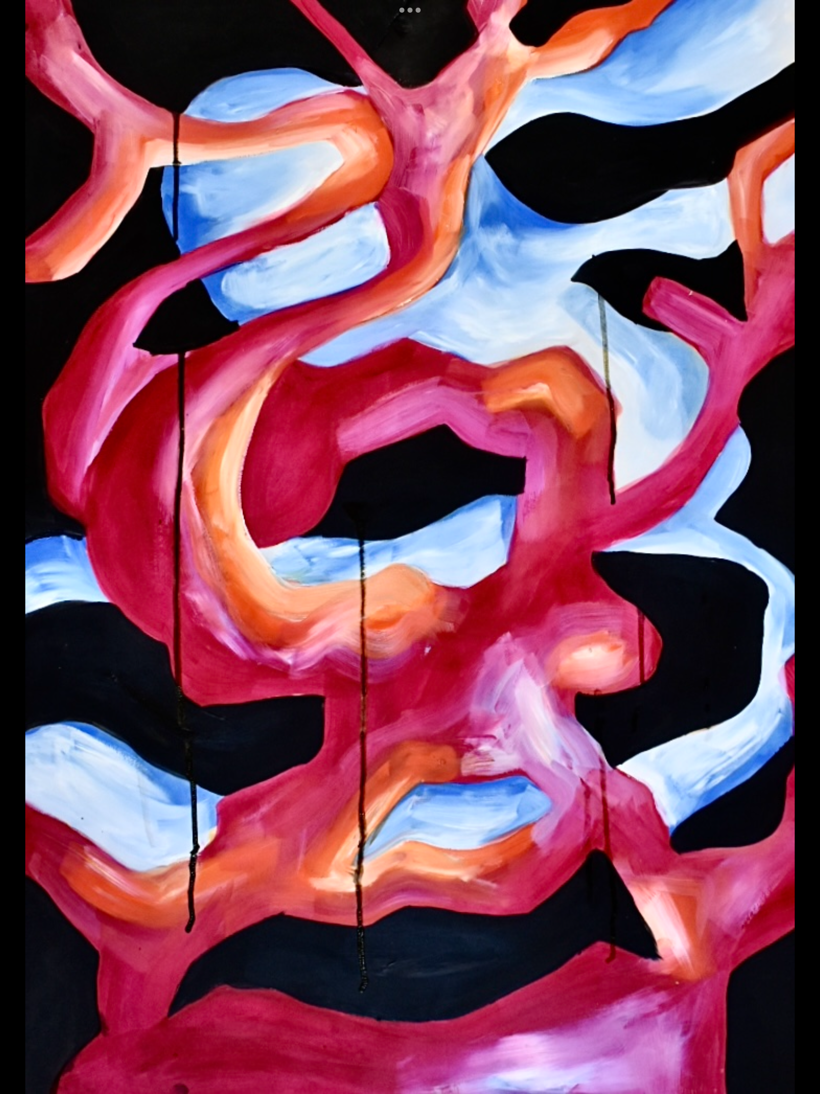 IMG_4716.PNG