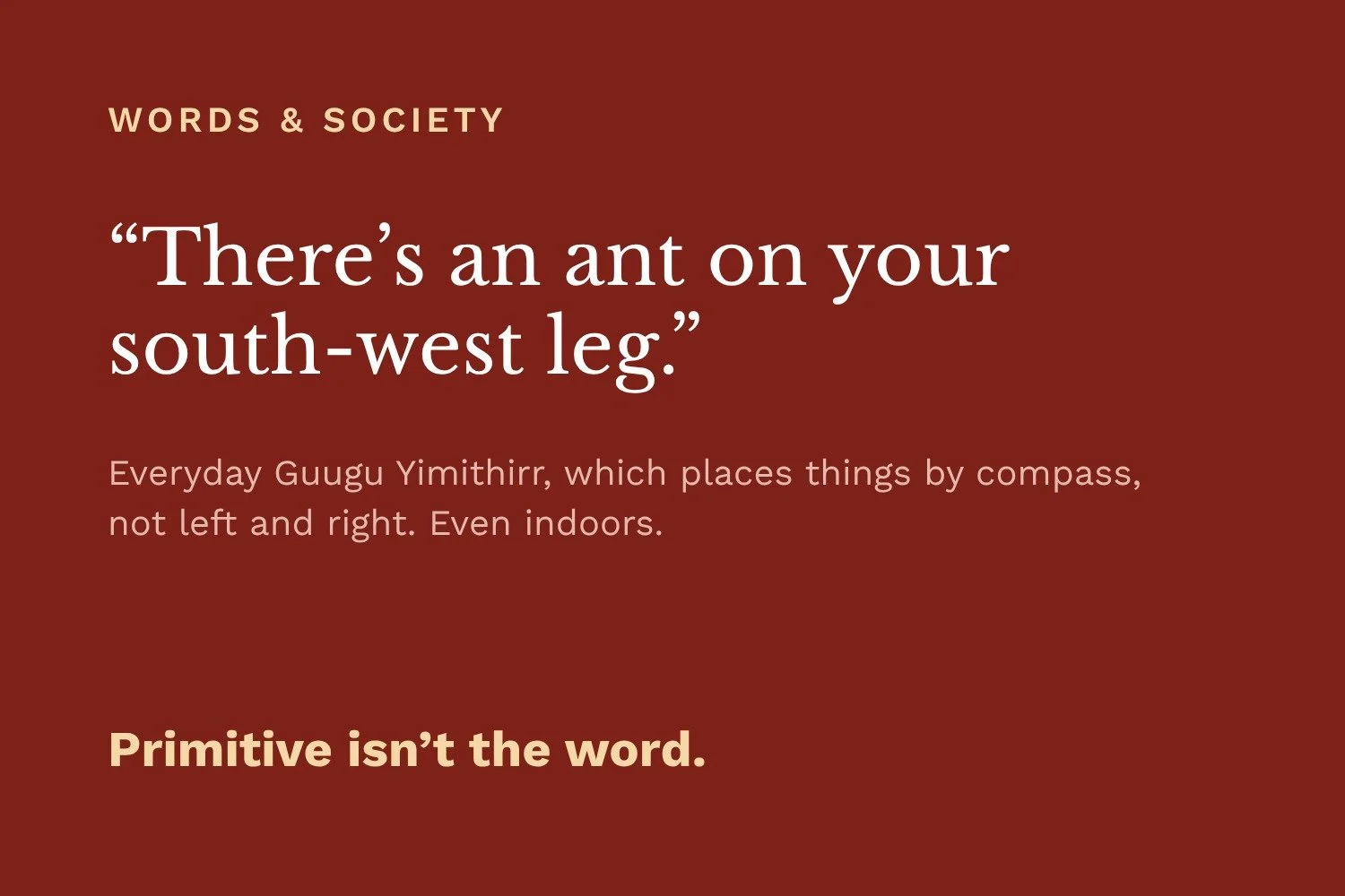 There Is No Primitive Language