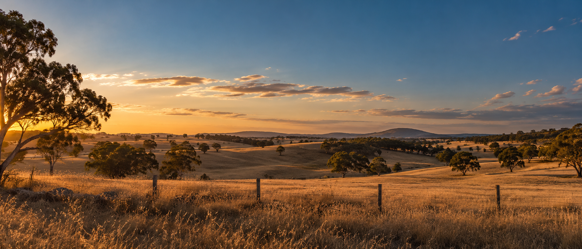 Golden Plains-inspired countryside with golden paddocks and gum trees
