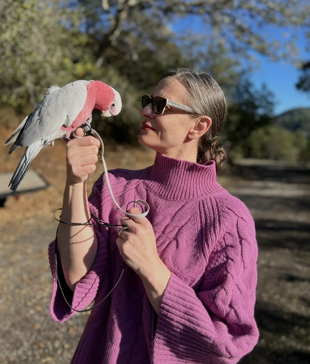A woman wearing sunglasses and a pink sweater holding a pink and white cockatoo on her hand outdoors on a sunny day.