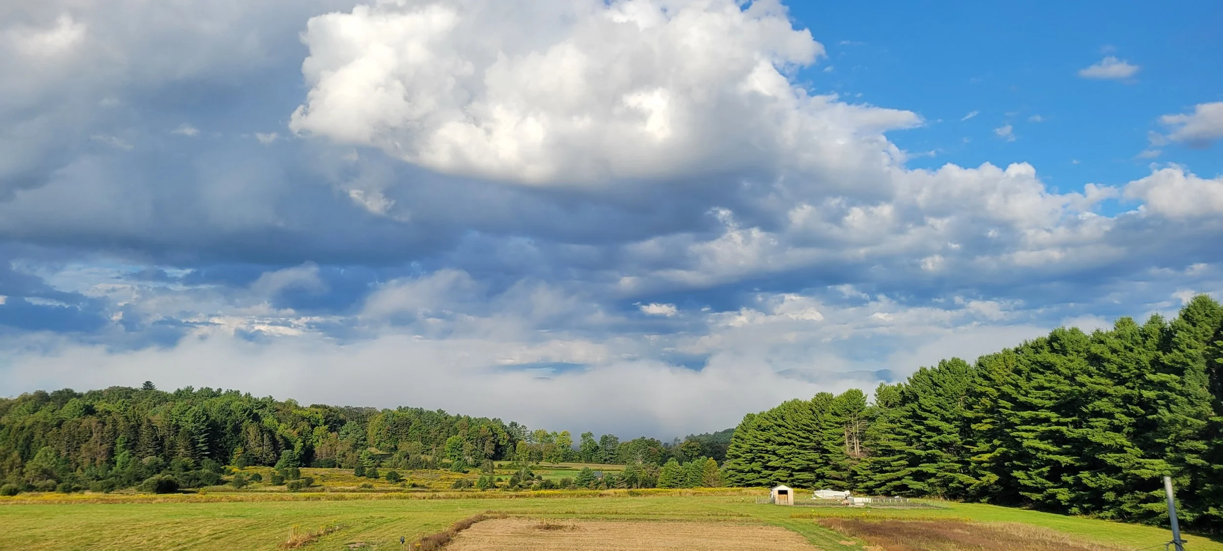 A scenic landscape with a green field in the foreground, a line of trees in the middle, and a cloudy blue sky overhead.
