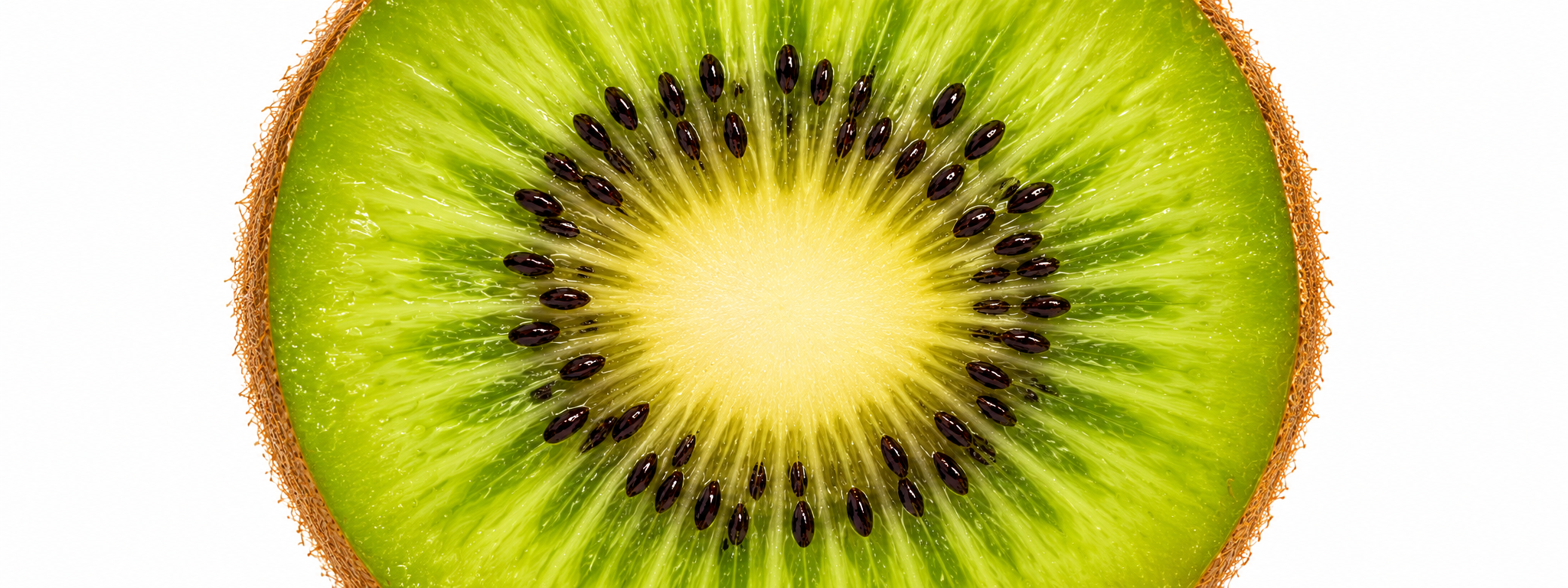Close-up of a sliced kiwi showing green flesh, black seeds, and brown fuzzy skin on the edges.