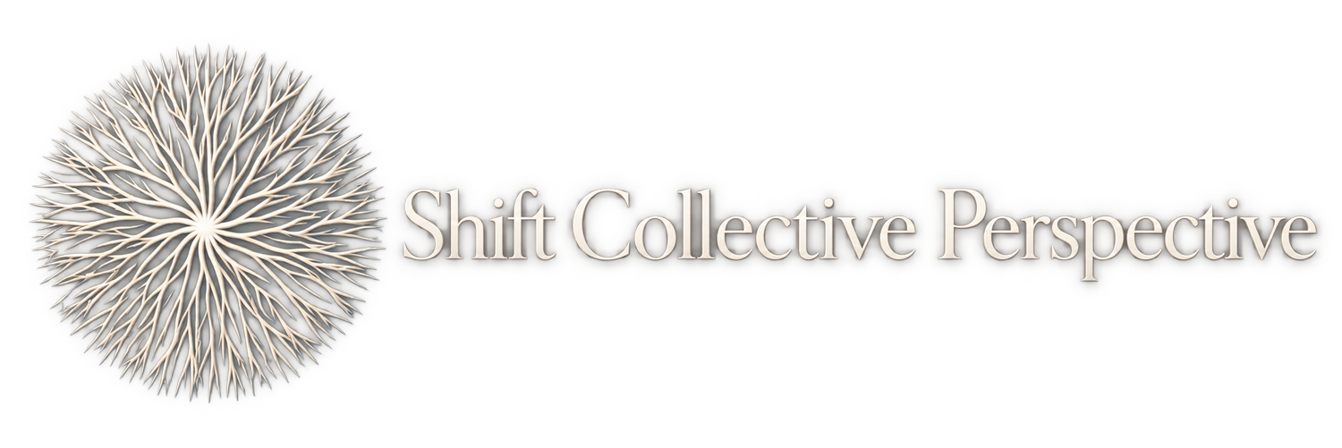 Shift Collective Perspective