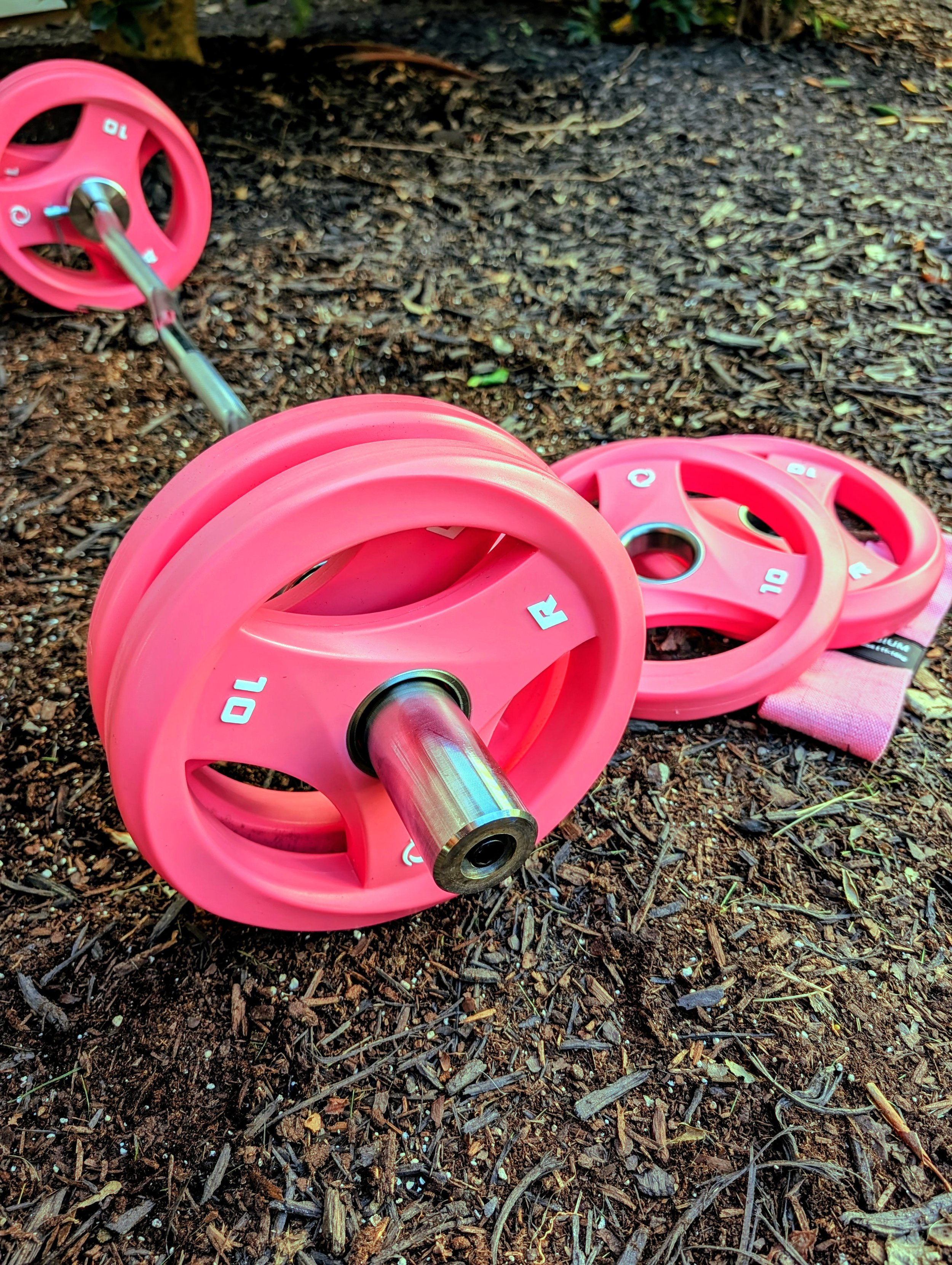 Pink weightlifting barbell and weights lying on dirt ground outdoors, surrounded by small plants and leaves.