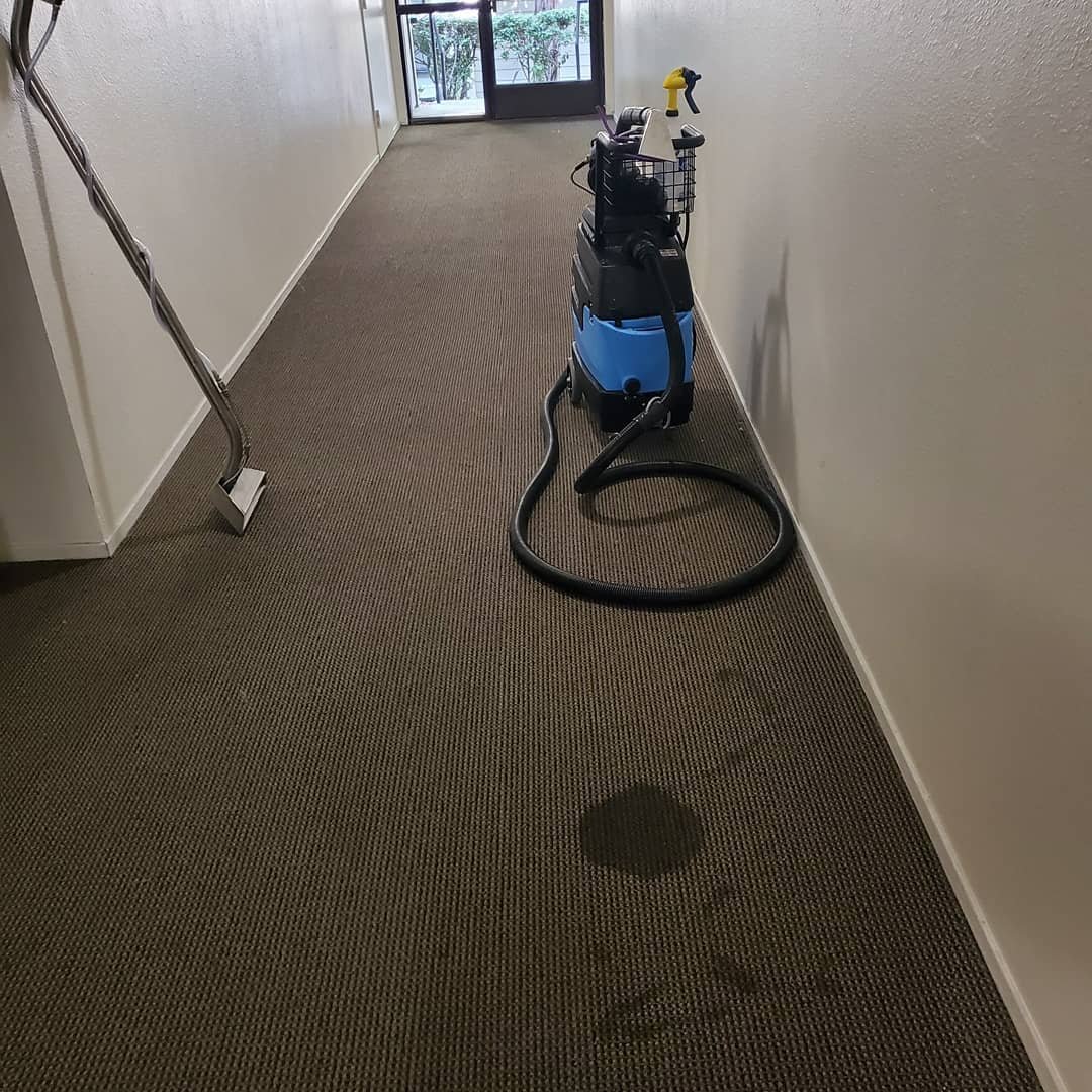 Clean Common Spaces Store 2 — Orta Brothers Carpet Cleaning