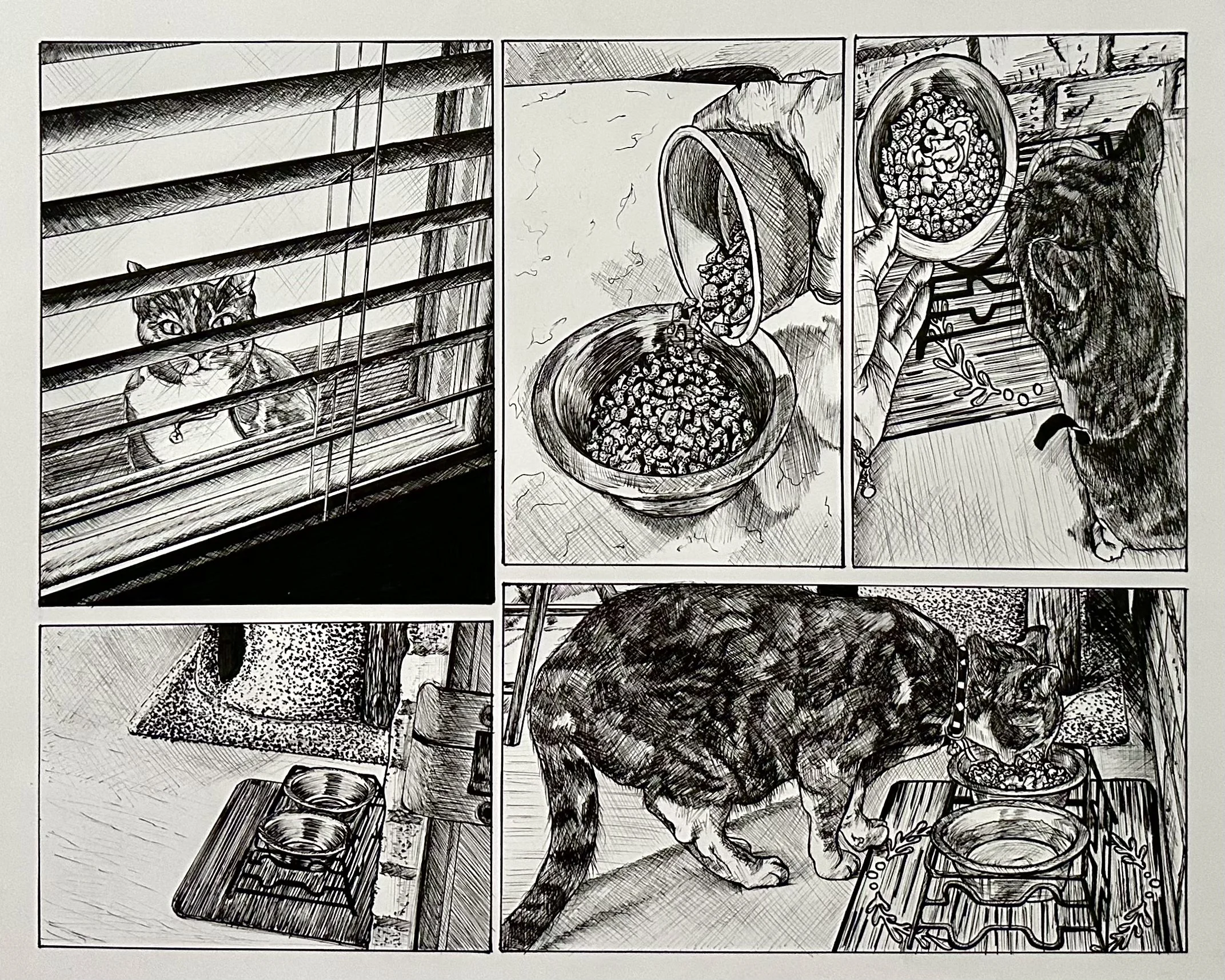 A comic strip featuring a person feeding a cat in front of a window with blinds. The person is holding a bowl of food and is reaching out to the cat, which is looking up through the blinds.