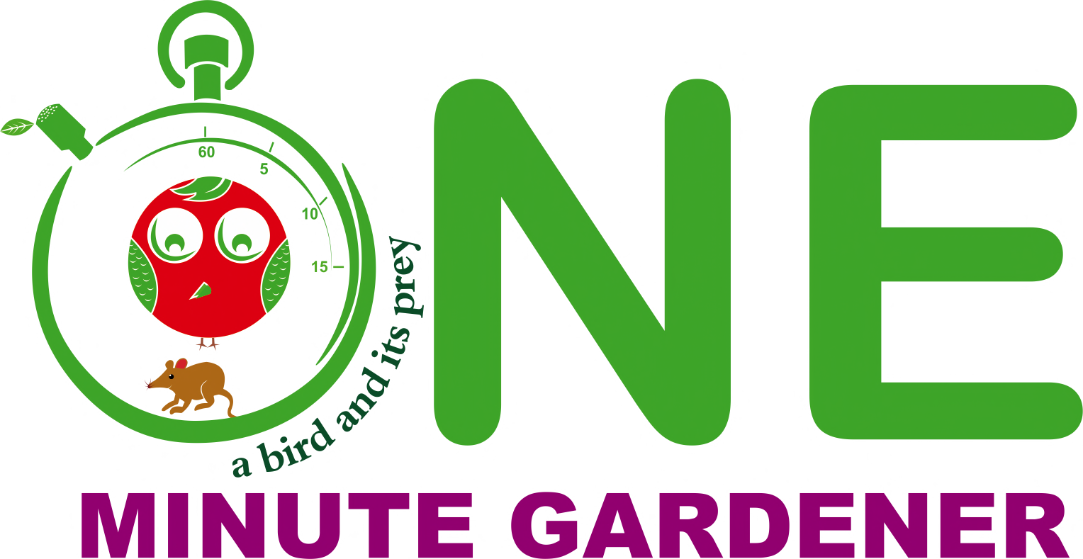 Logo with a cartoonish red drop shape with a green leaf, a small animal, and the text 'ONE MINUTE GARDEN' in green and purple