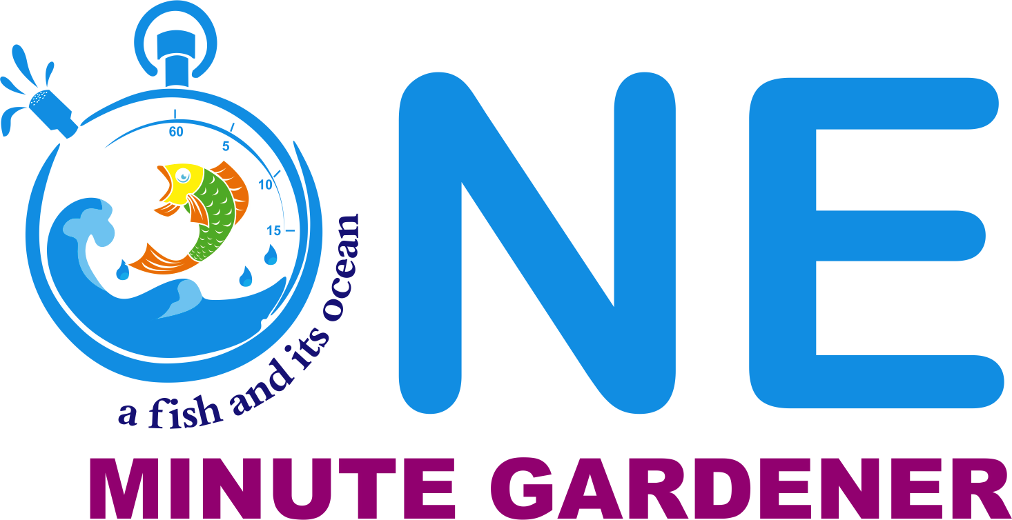 Logo for NE, a fish and its ocean, with text saying 'NE a fish and its ocean' and 'MINUTE GARDENER'.