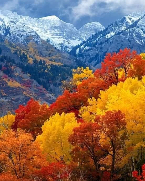 Colorful autumn trees with red, orange, and yellow leaves in a mountain landscape with snow-capped peaks and a partly cloudy sky.
