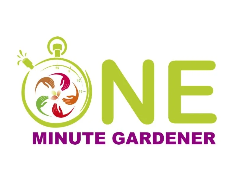 Logo of a stopwatch with four hands in different colors, a plant sprout, and the text 'ONE MINUTE GARDENER' with 'ONE' in green and 'MINUTE GARDENER' in purple.