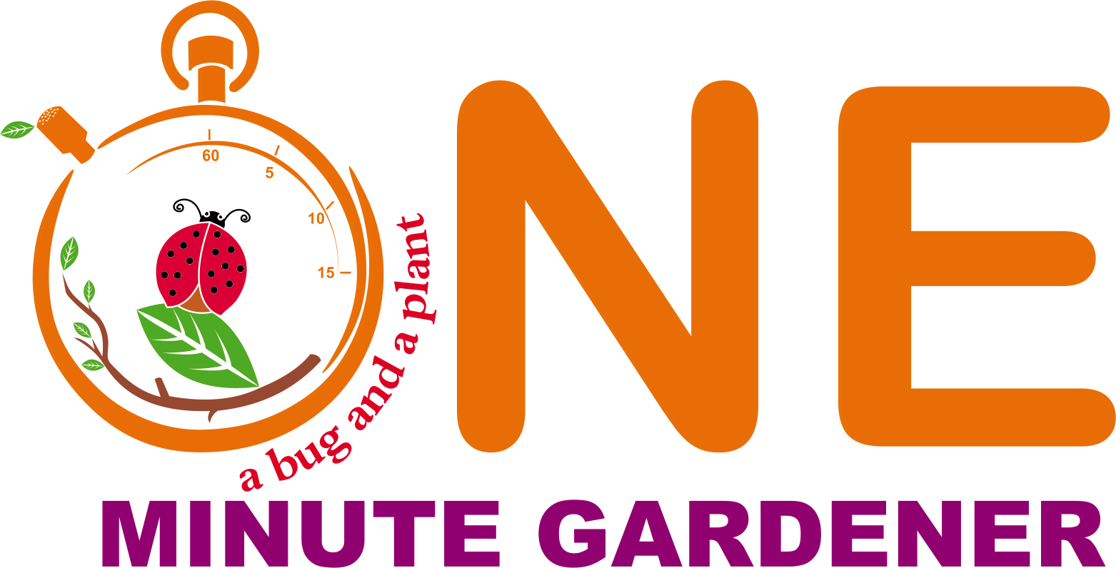 A logo for a company named 'ONE Minute Gardener' features a stopwatch with a ladybug and green leaves inside, and the slogan 'a bug and a plant'. The words 'ONE' are large and orange, with 'MINUTE GARDENER' in purple below.