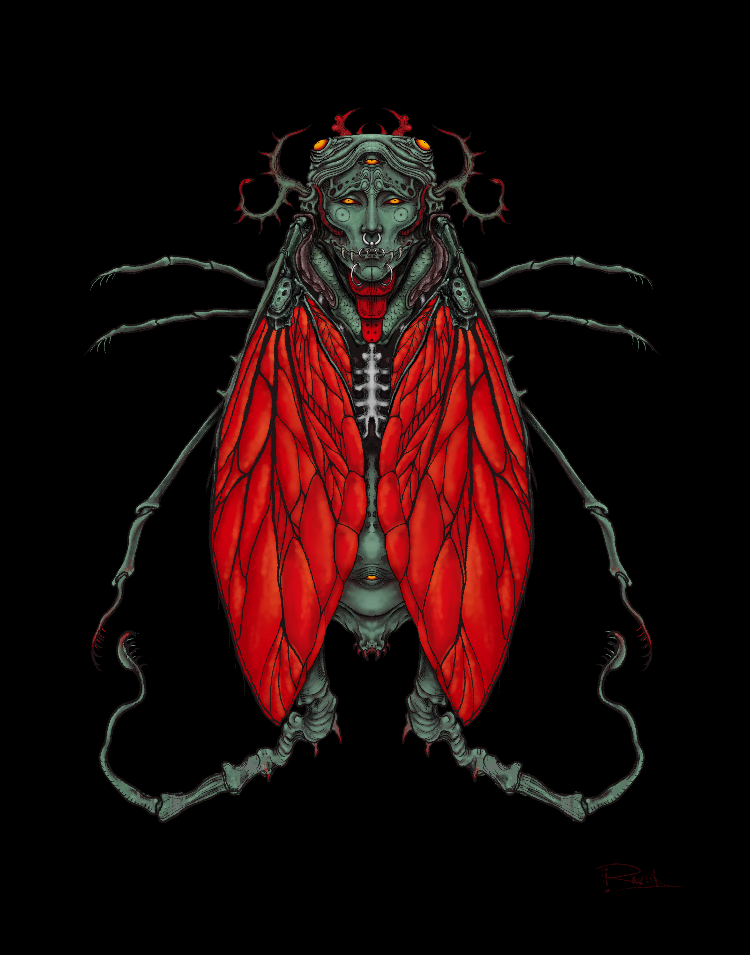 Cicada_Card_.png