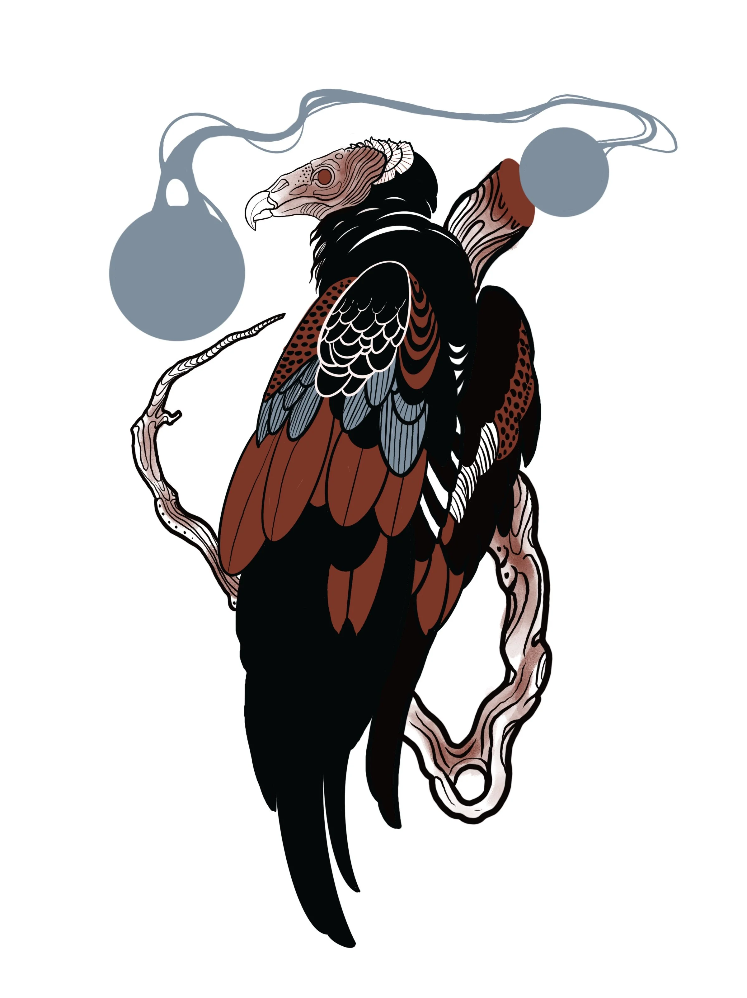 Vulture2.jpg