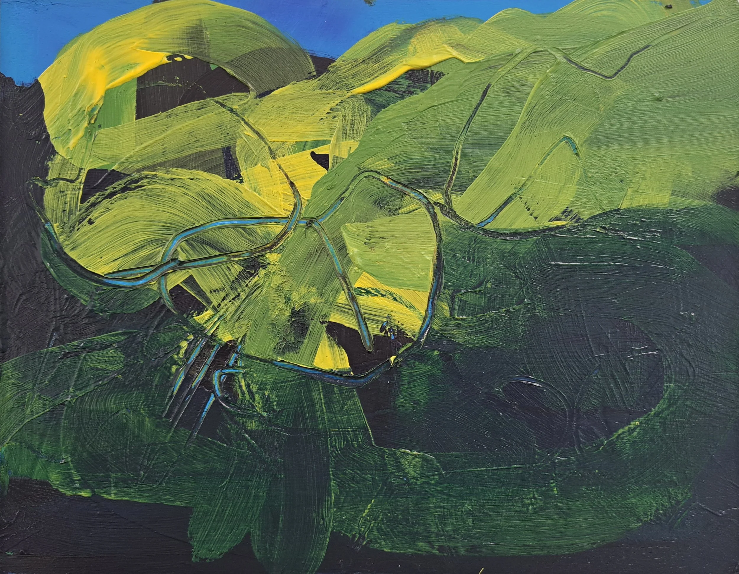 Jessica_Wigmore_Waterlillies_3__Web.jpg