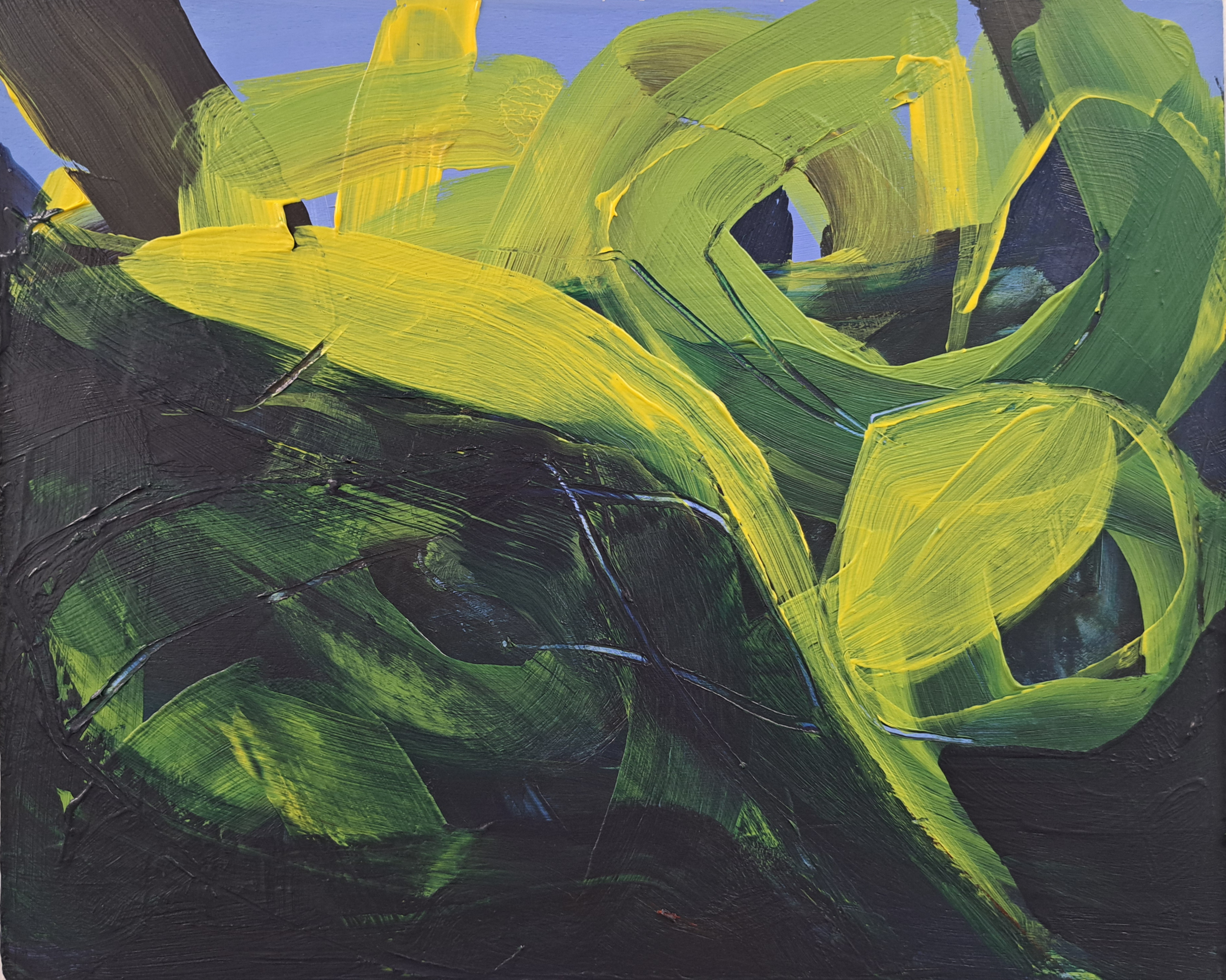 Jessica_Wigmore_Waterlillies_5__Web.png