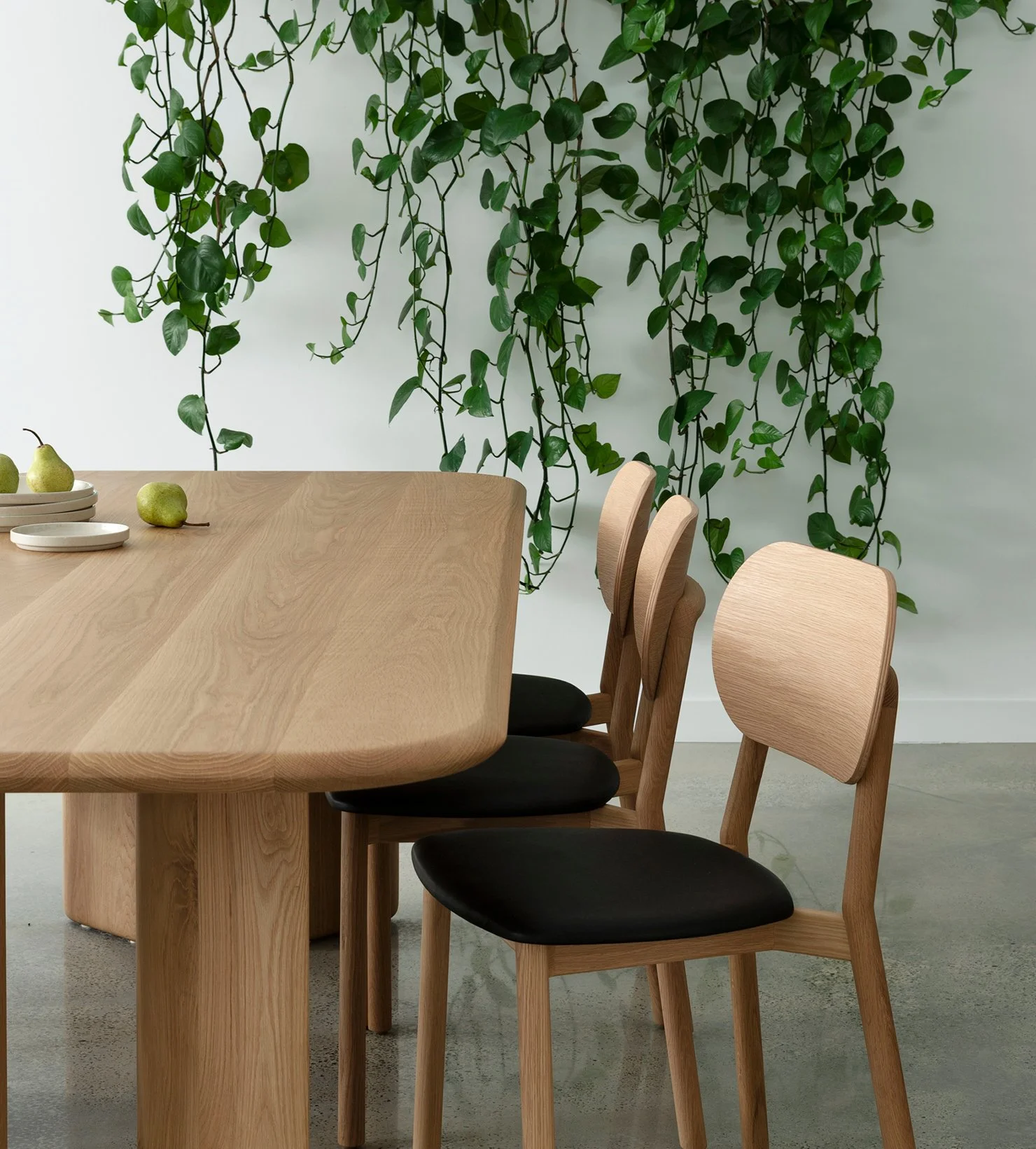 Timber dining table and chairs with black upholstered seats beneath trailing indoor plants
