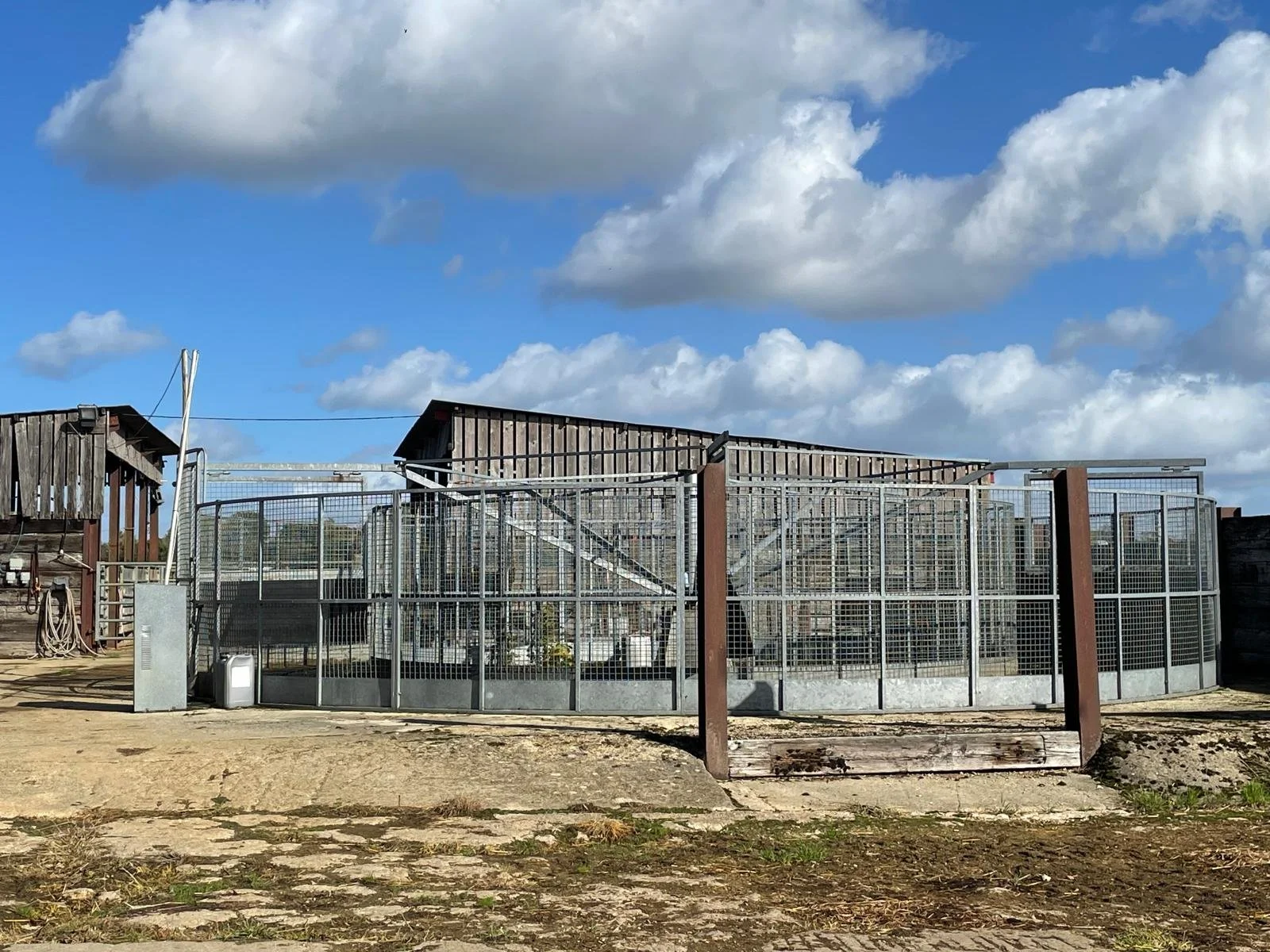 A large outdoor animal enclosure made of metal fencing panels, situated on a dirt ground with wooden structures and a cloudy sky in the background.