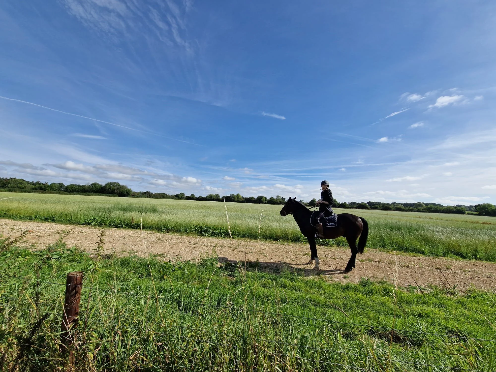 A person riding a horse in an open grassy field with a blue sky and wispy clouds overhead, surrounded by a rural landscape and a fence in the foreground.