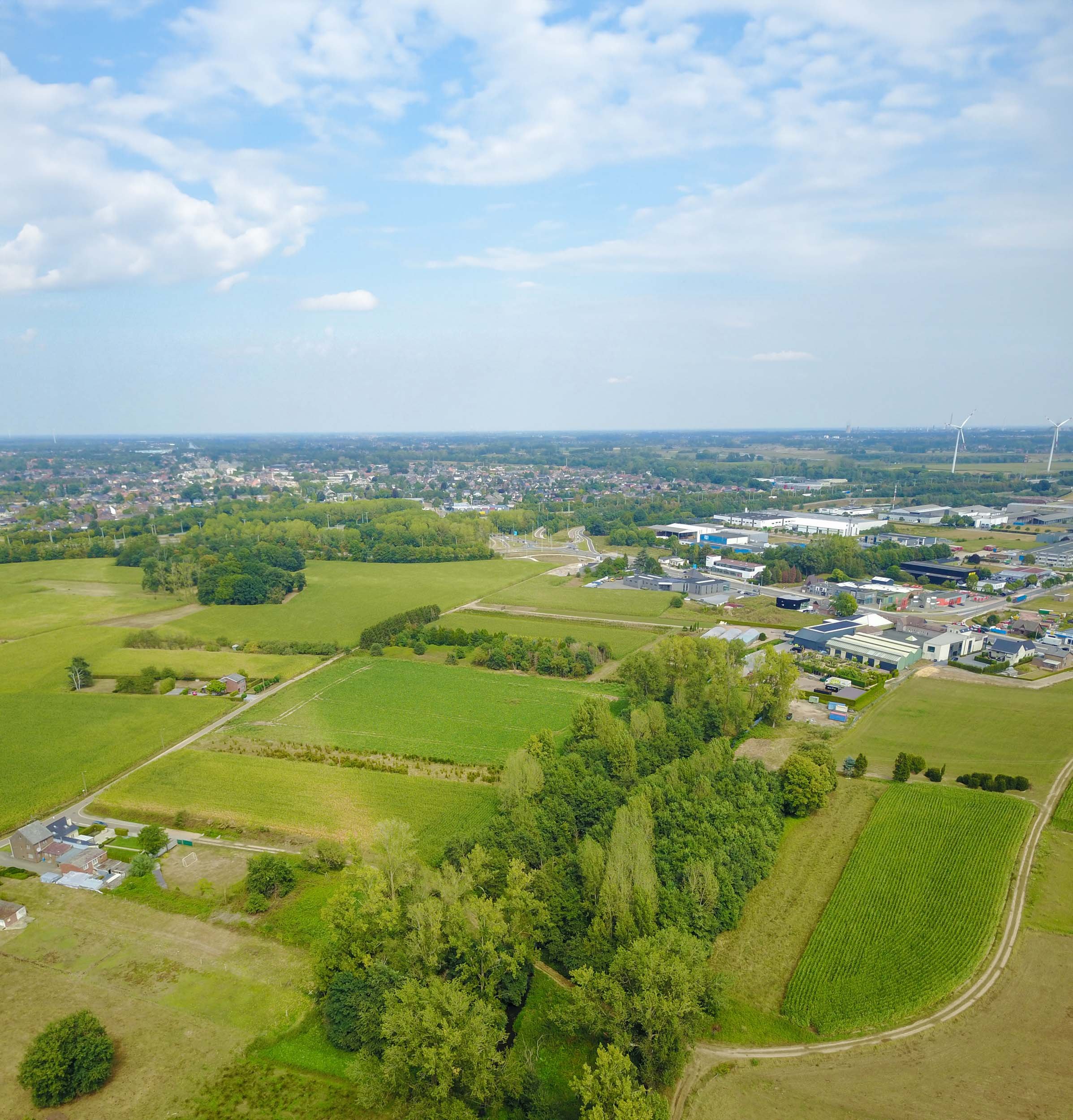 Landschap met groene velden, bomen en een dorp op de achtergrond, met een heldere blauwe hemel en witte wolken.