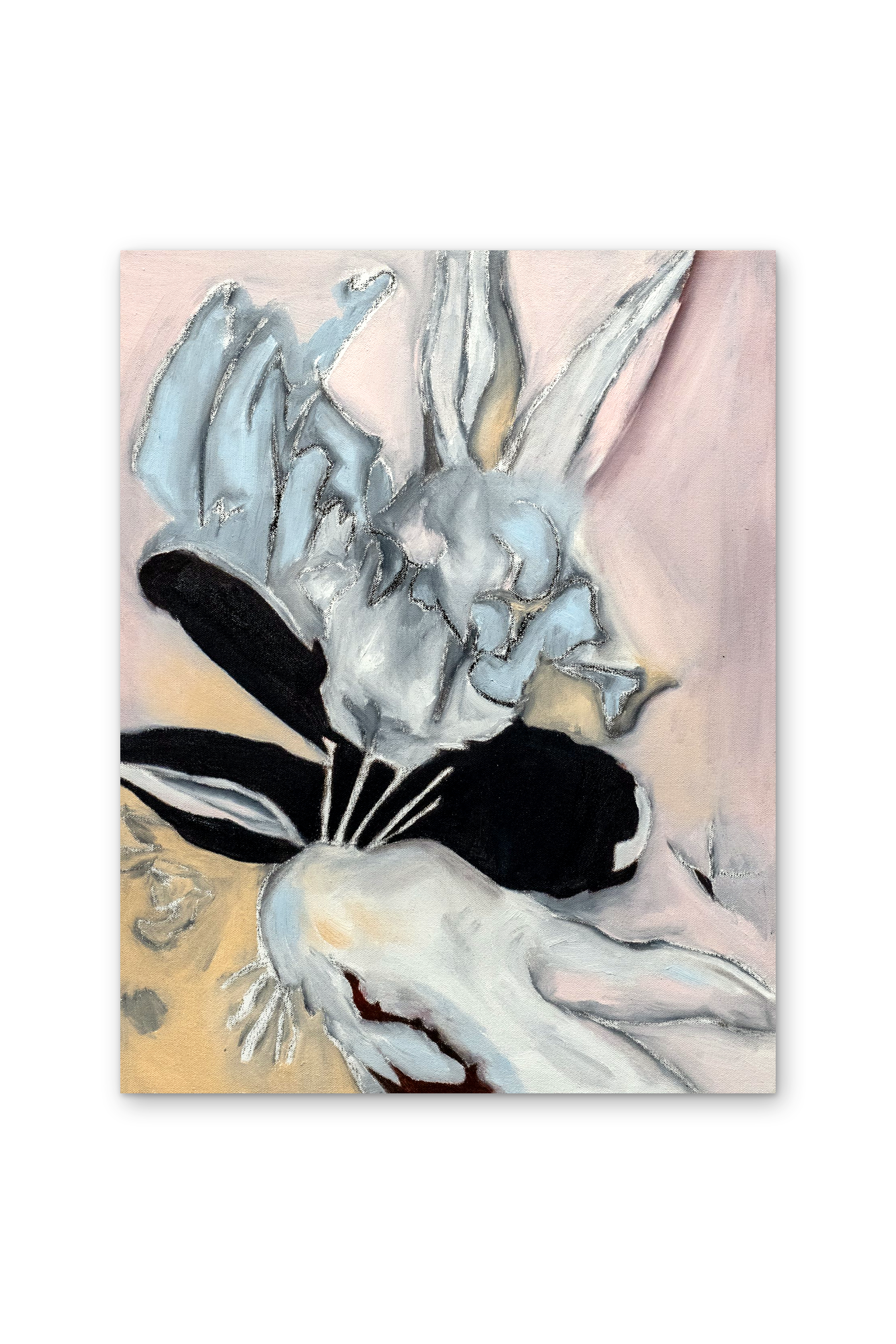 "Red Eyed White Rabbit", 18x14", oil on canvas. 2025.