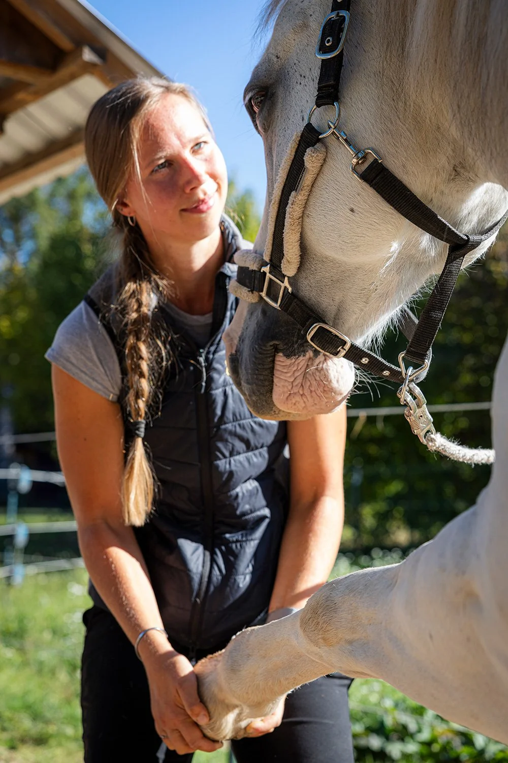Jenna-Richter_Pferdeosteopathie-3.jpg
