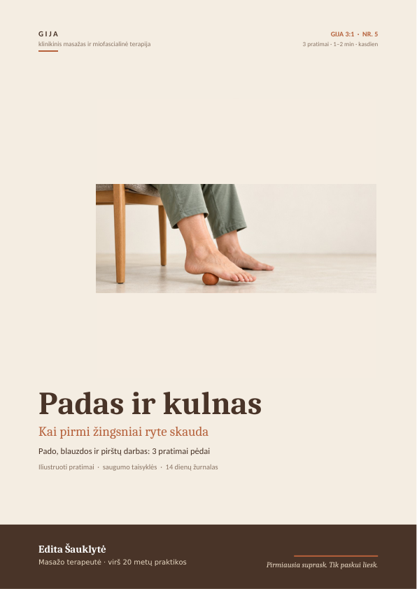 Gija31_05_Padas_ir_kulnas.png