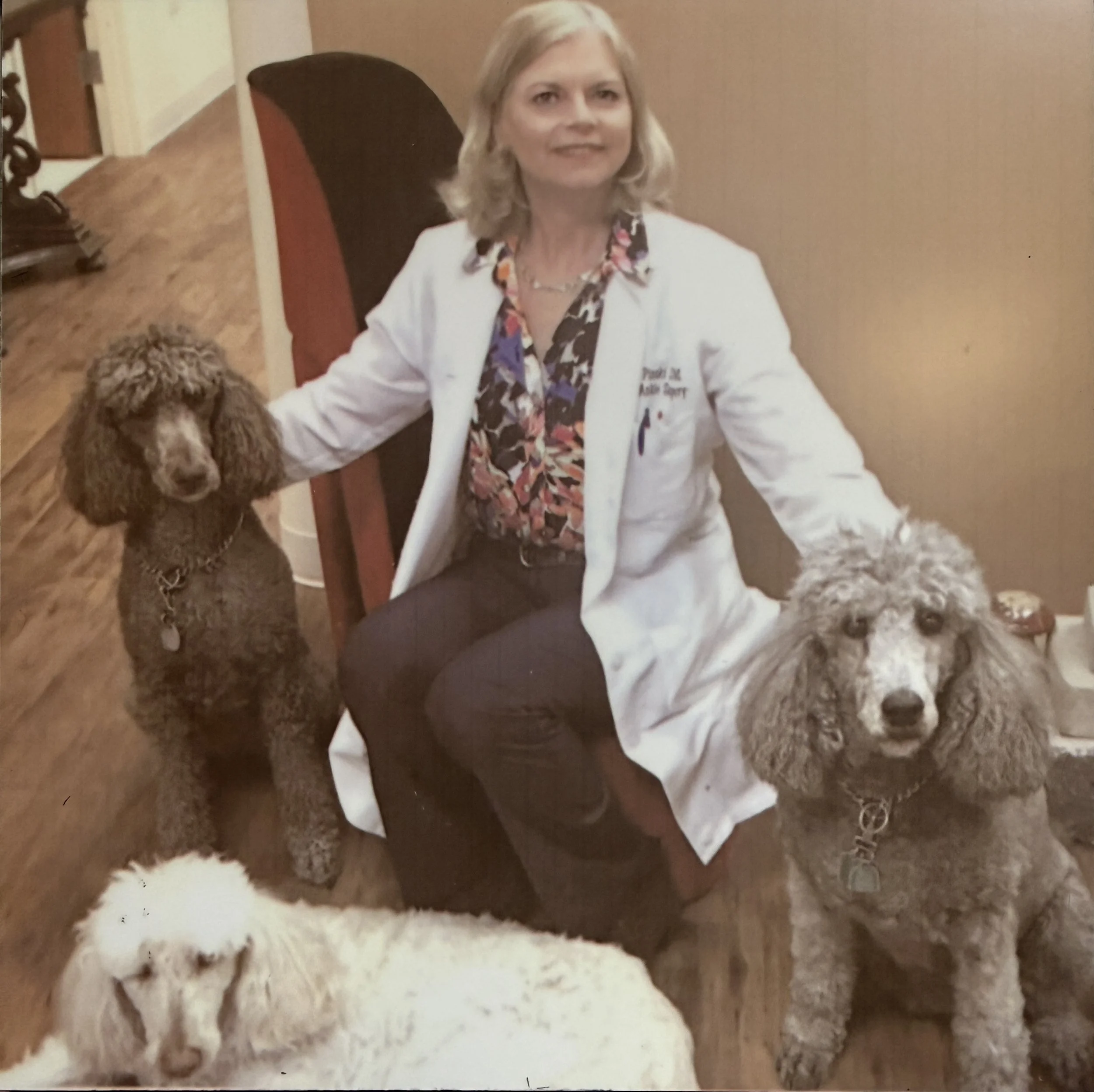A woman in a white lab coat with a floral shirt underneath is sitting at a table with three dogs, one large brown dog with curly fur and two smaller dogs, one tan and fluffy, and the other with a slender face and pointed ears. The background shows a beige wall and a wooden staircase.