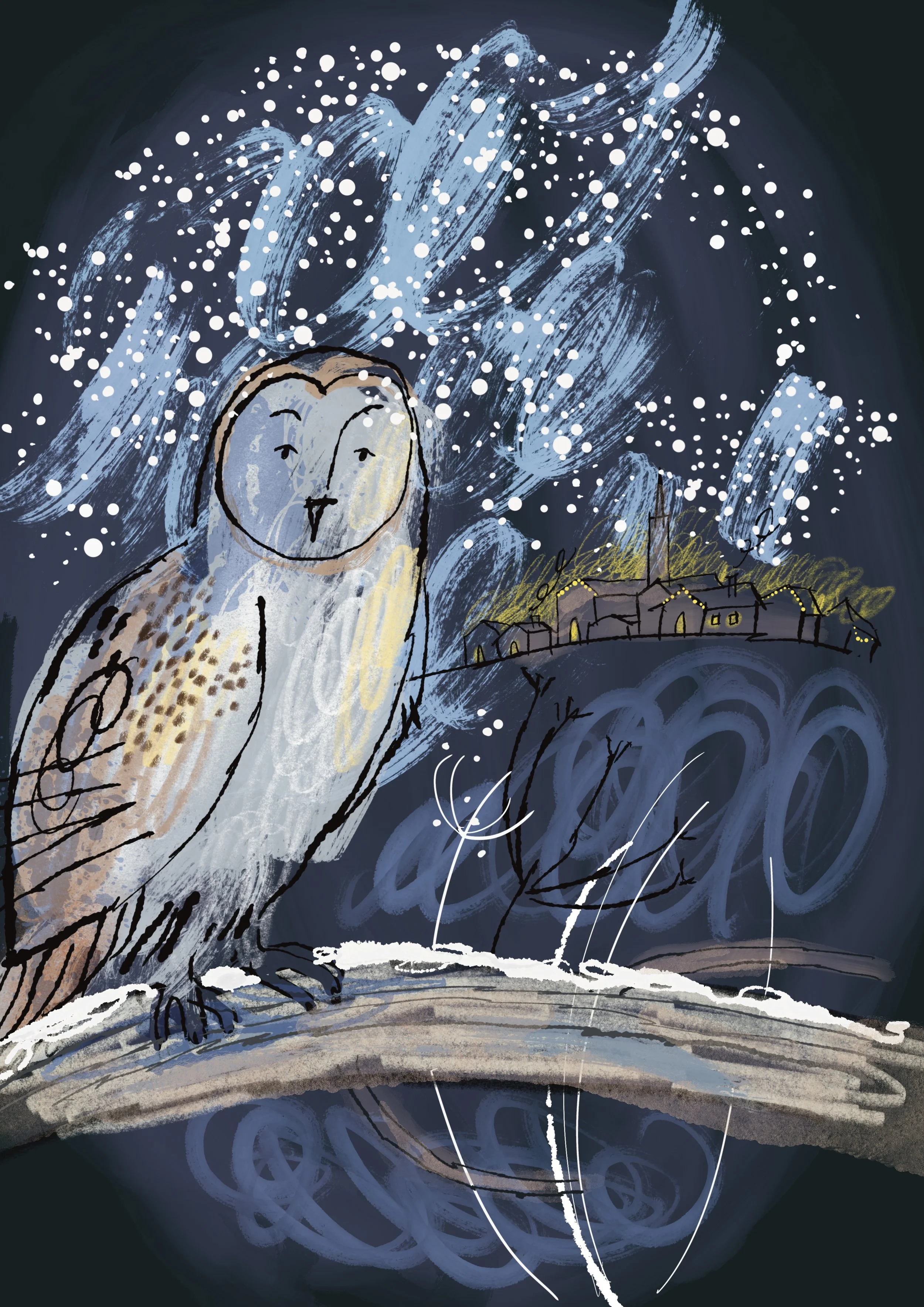 A Barn Owl at night. It sits on a branch as the snow falls around it. A small town glows in the distance.