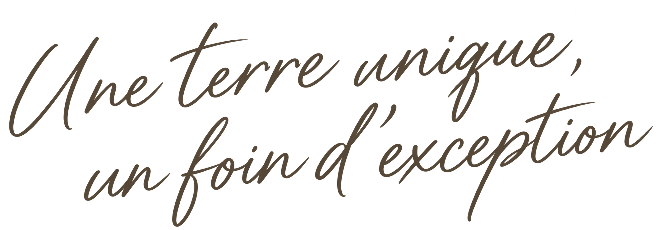 Texte en cursive disant : 'Une terre unifiée, un fon d'exception'.