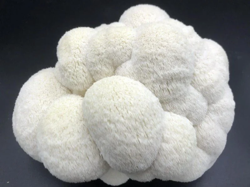Panniers de POMPOM BLANC / 3 mois