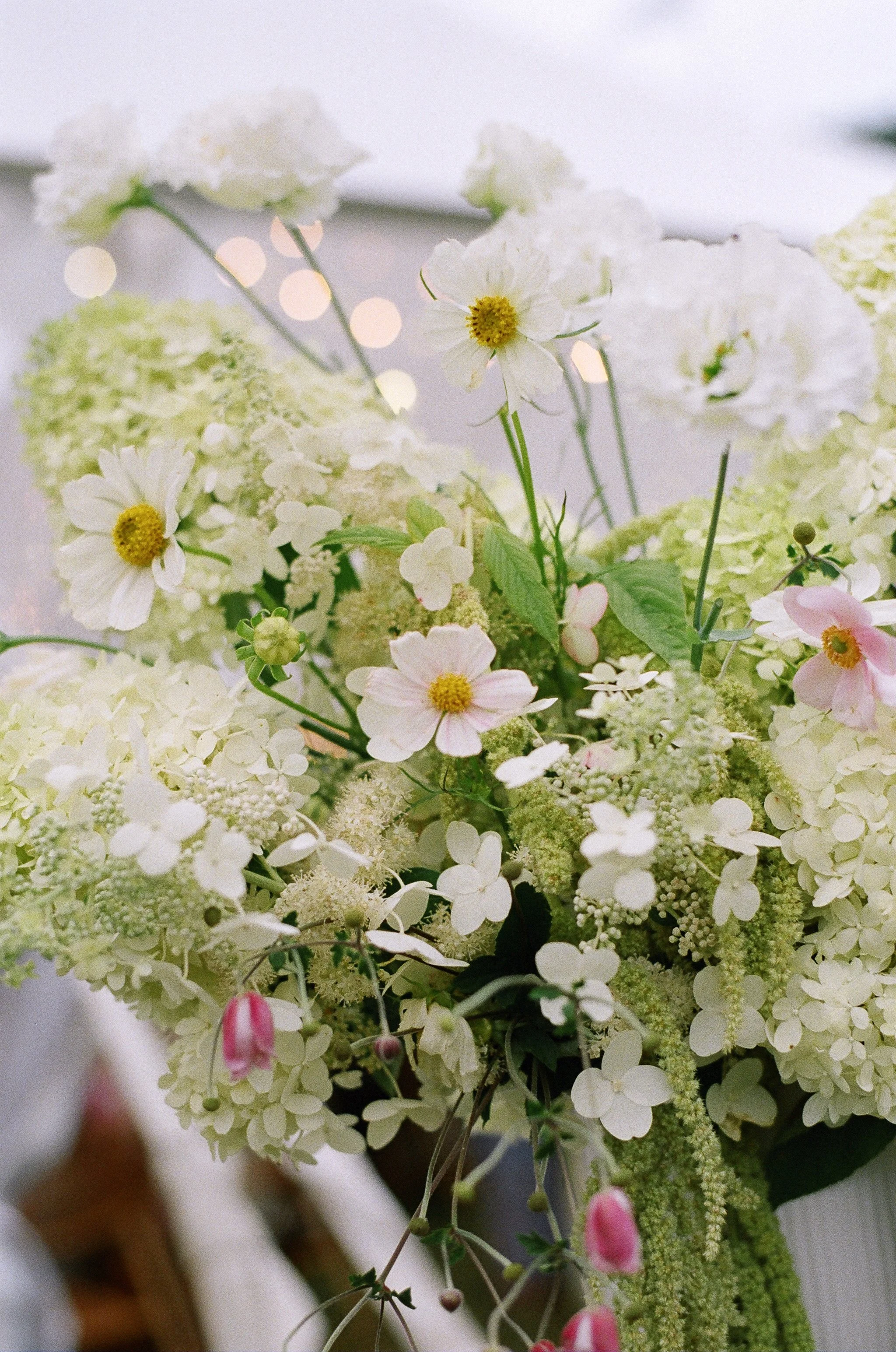 Close-up of a bouquet of white and pink flowers with green leaves, with a blurred background.