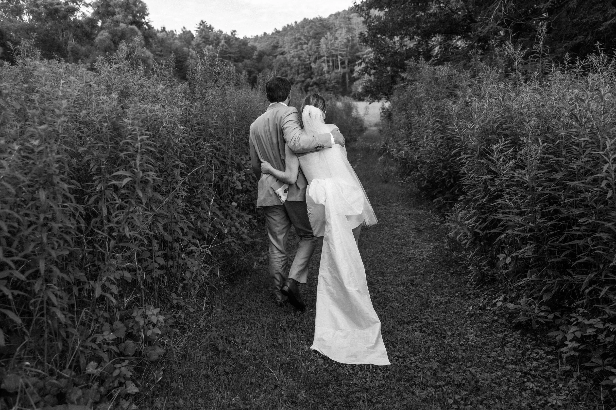 A couple dressed in wedding attire walking through a narrow dirt path in a field with tall plants on either side, surrounded by trees and hills in the background, in black and white. Vermont Wedding.