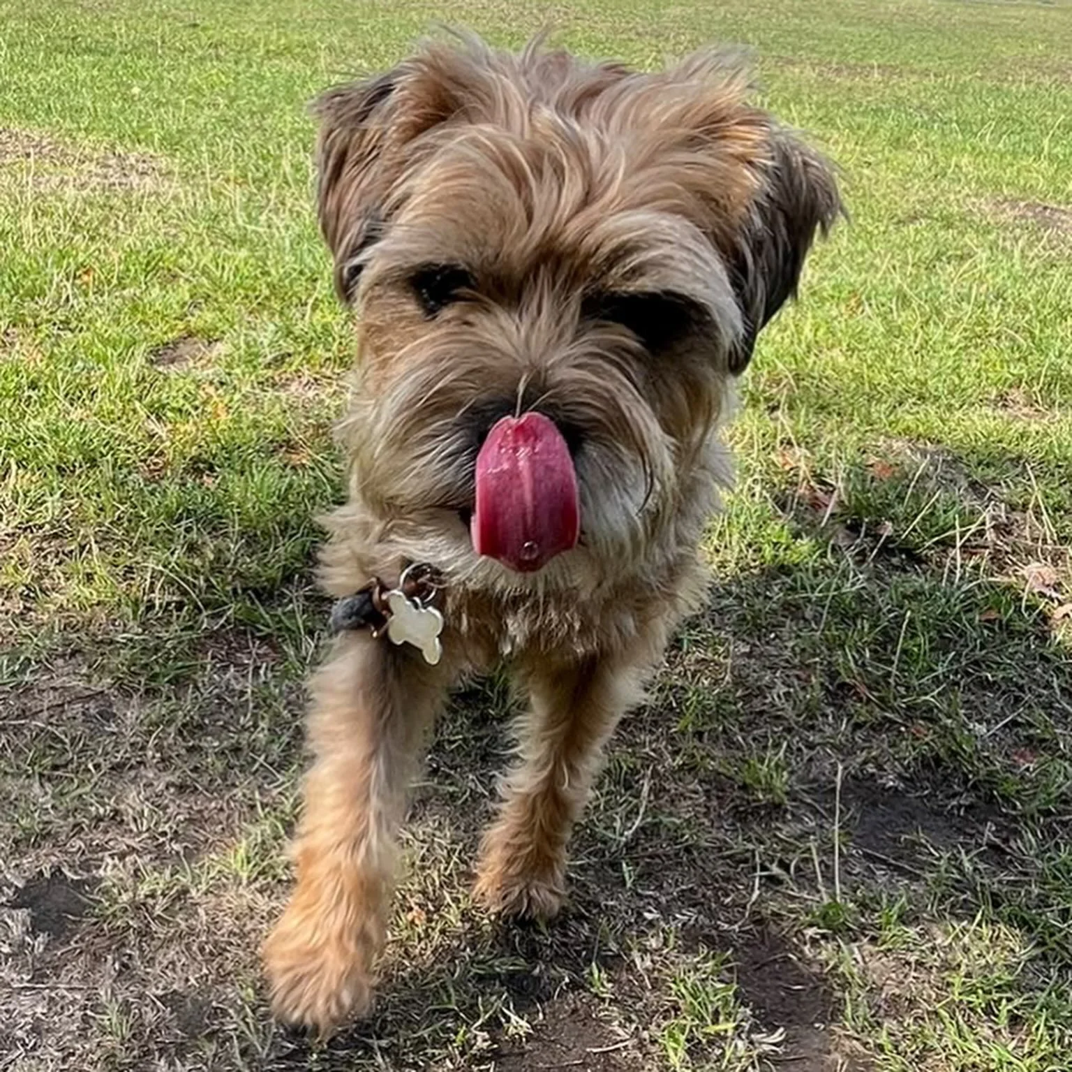 👅