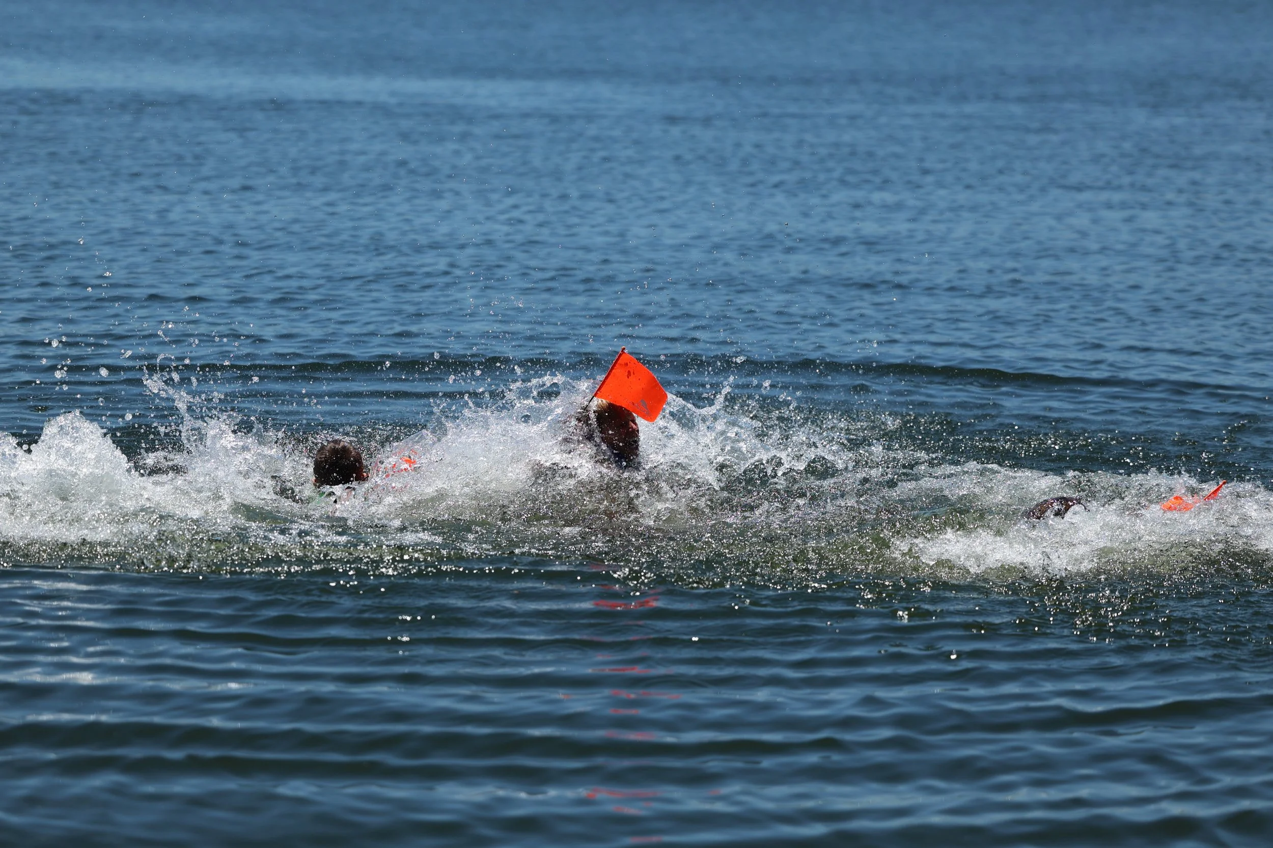 People swimming in the water near an orange floatation device, with ripples and splashes around them.