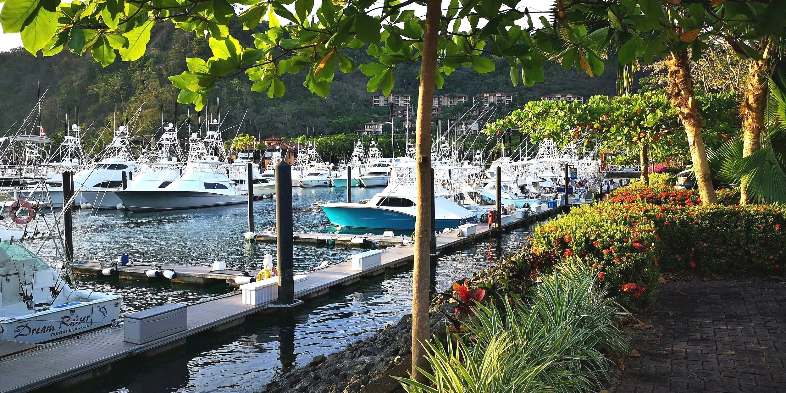Marina with multiple white boats docked near a waterfront, surrounded by lush green trees and vibrant flowering plants.