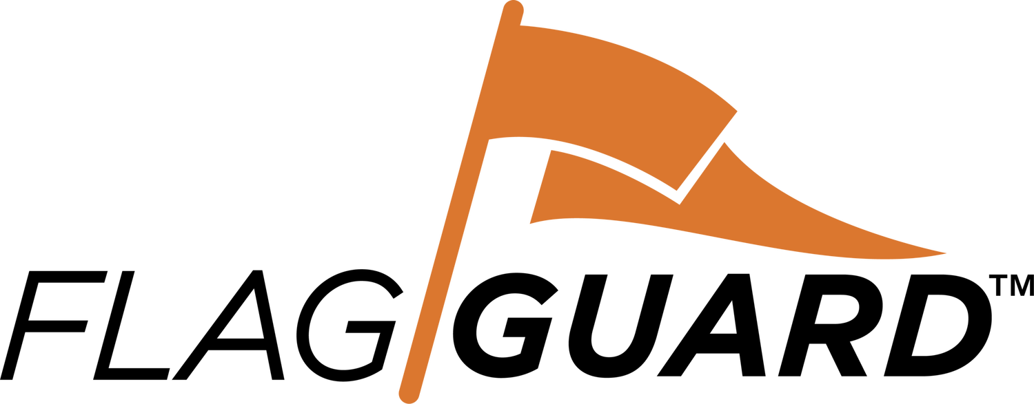 FlagGuard (Copy) (Copy)