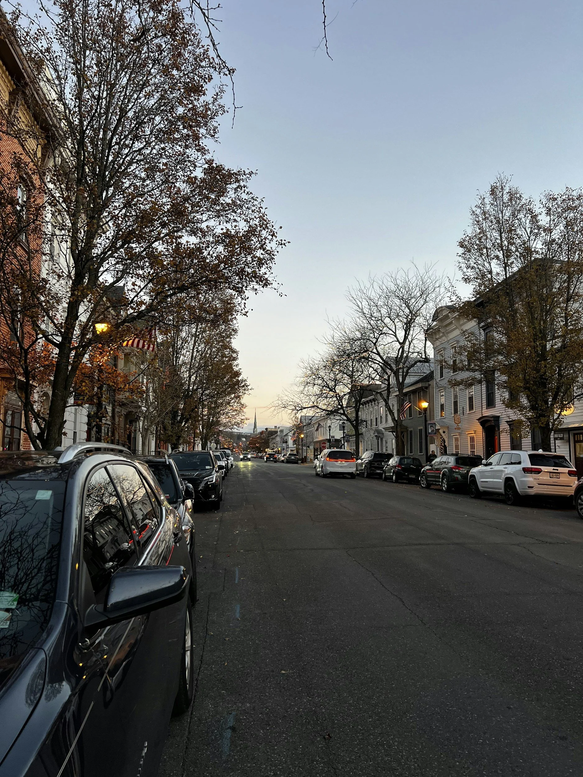 A quiet city street lined with parked cars on both sides and trees with autumn leaves. Multi-story buildings with various architectural styles are visible underneath a clear sky at dusk.