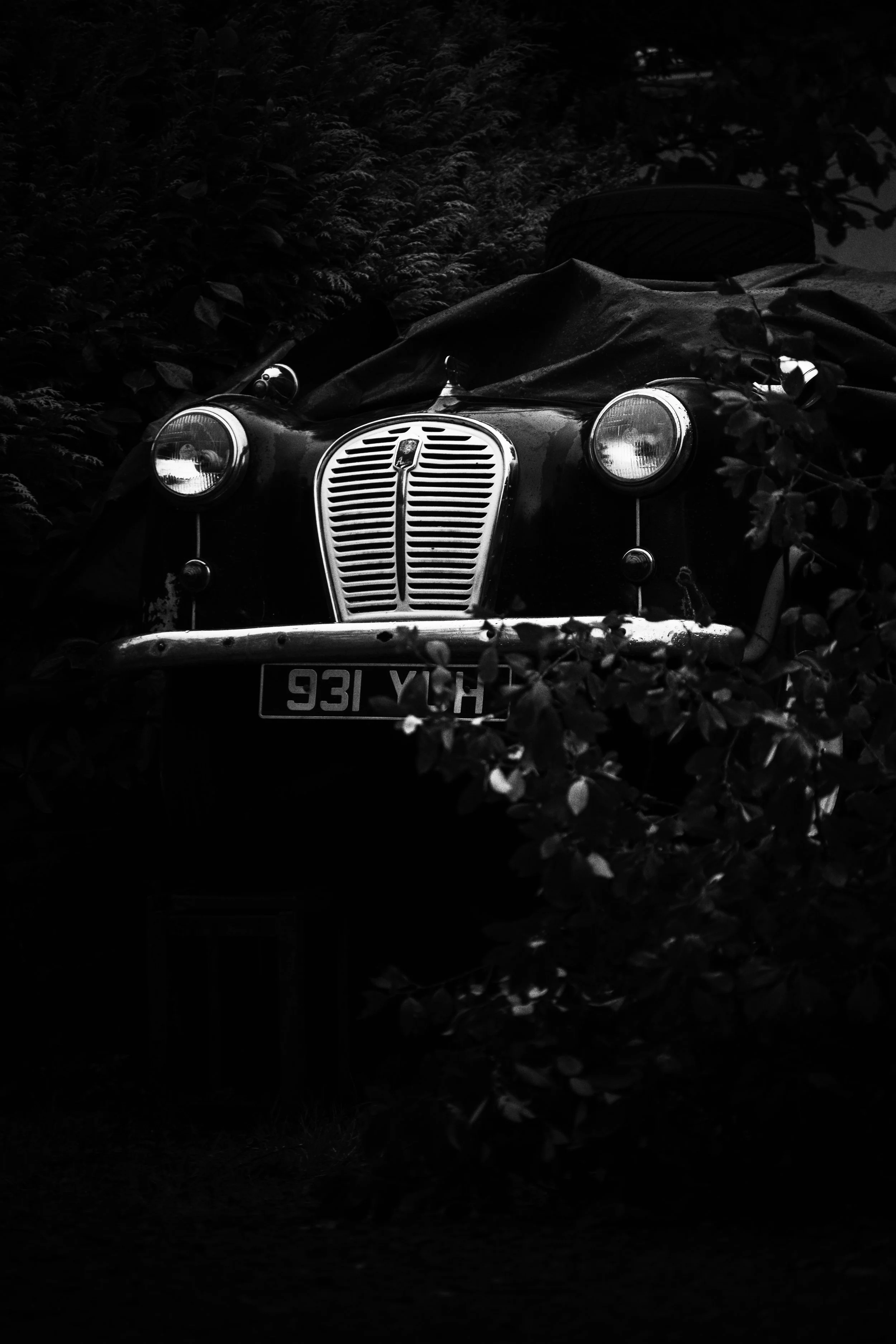 skye car 01 jpg.jpg