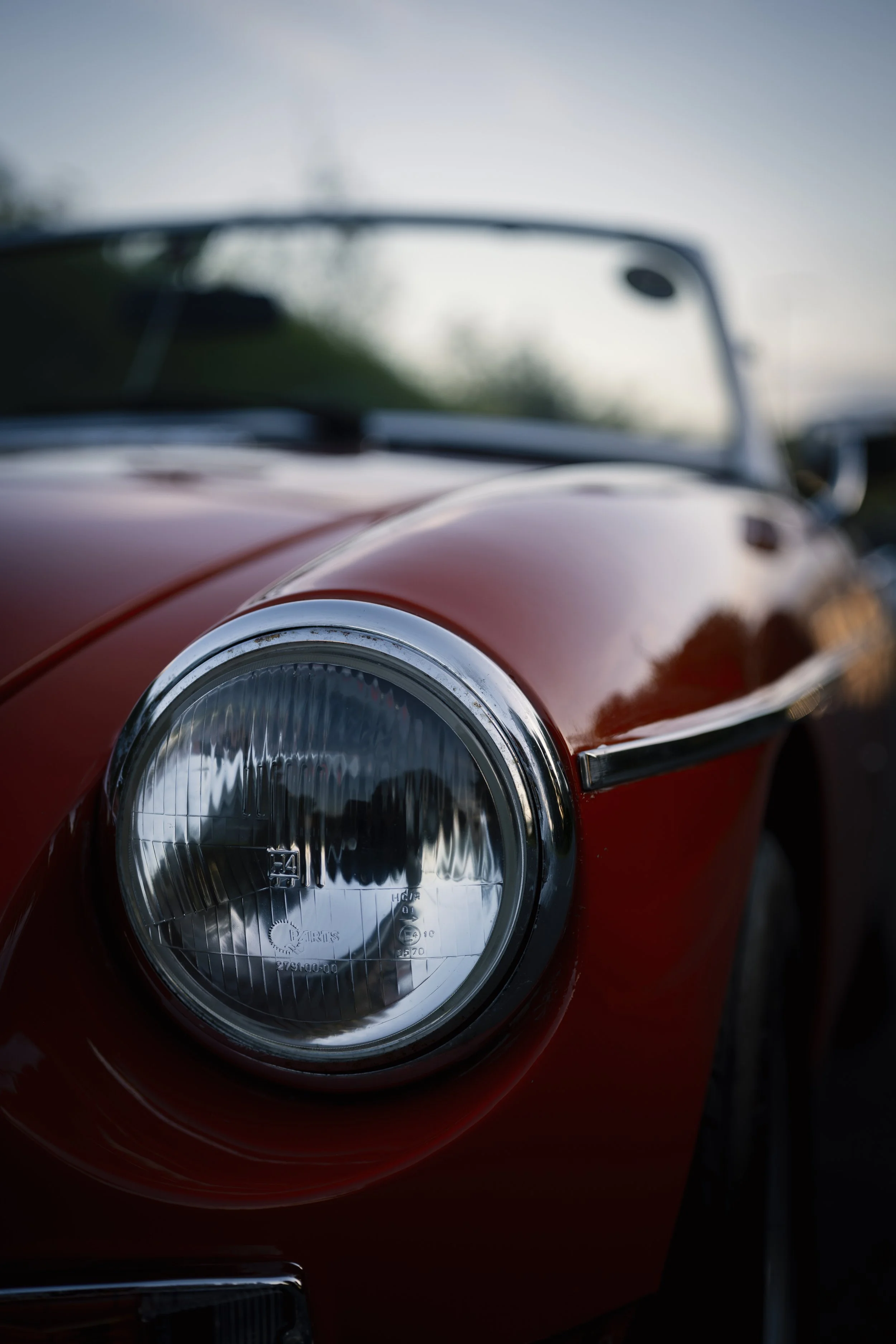 mg 01 jpg.jpg