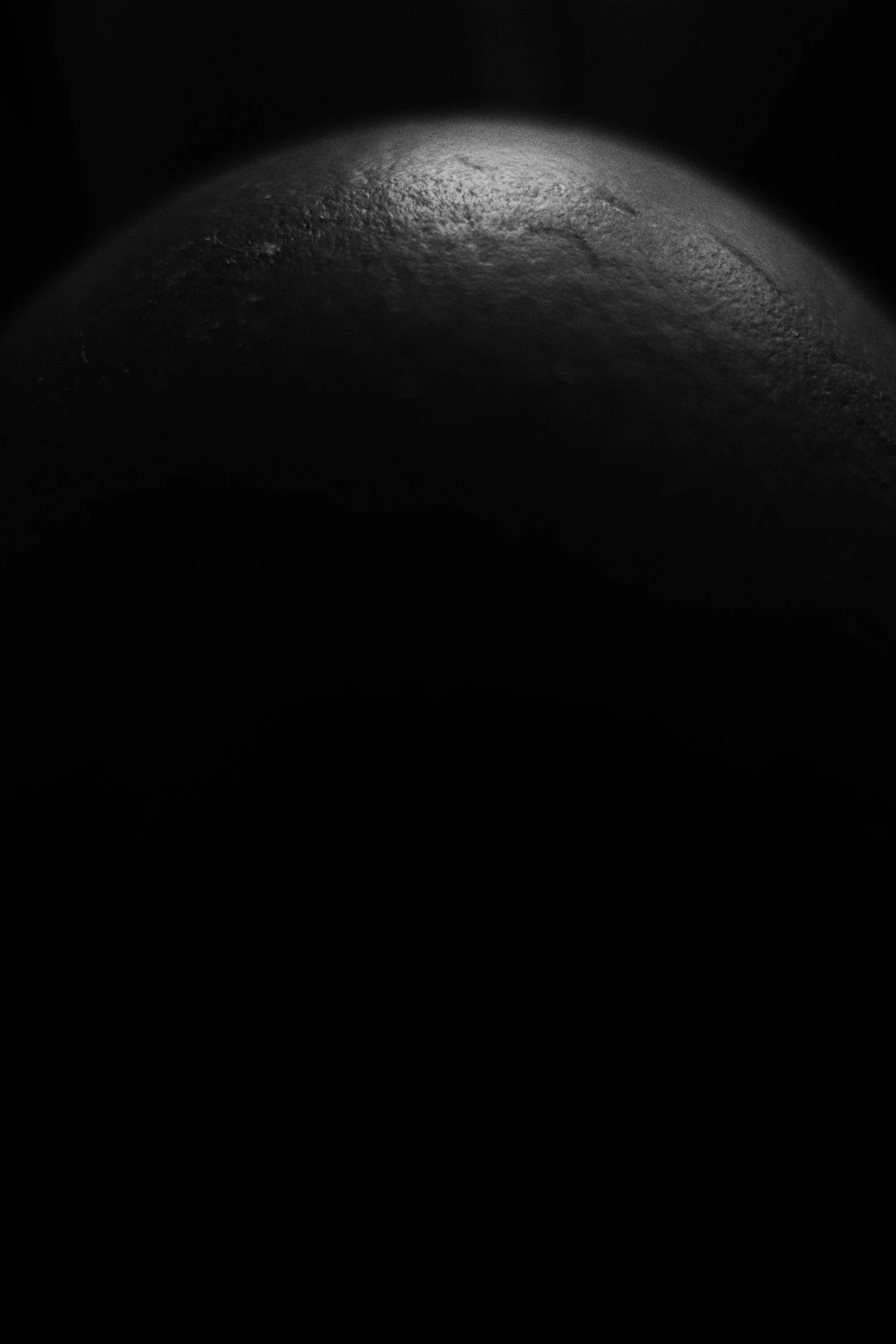 egg 01 jpg.jpg