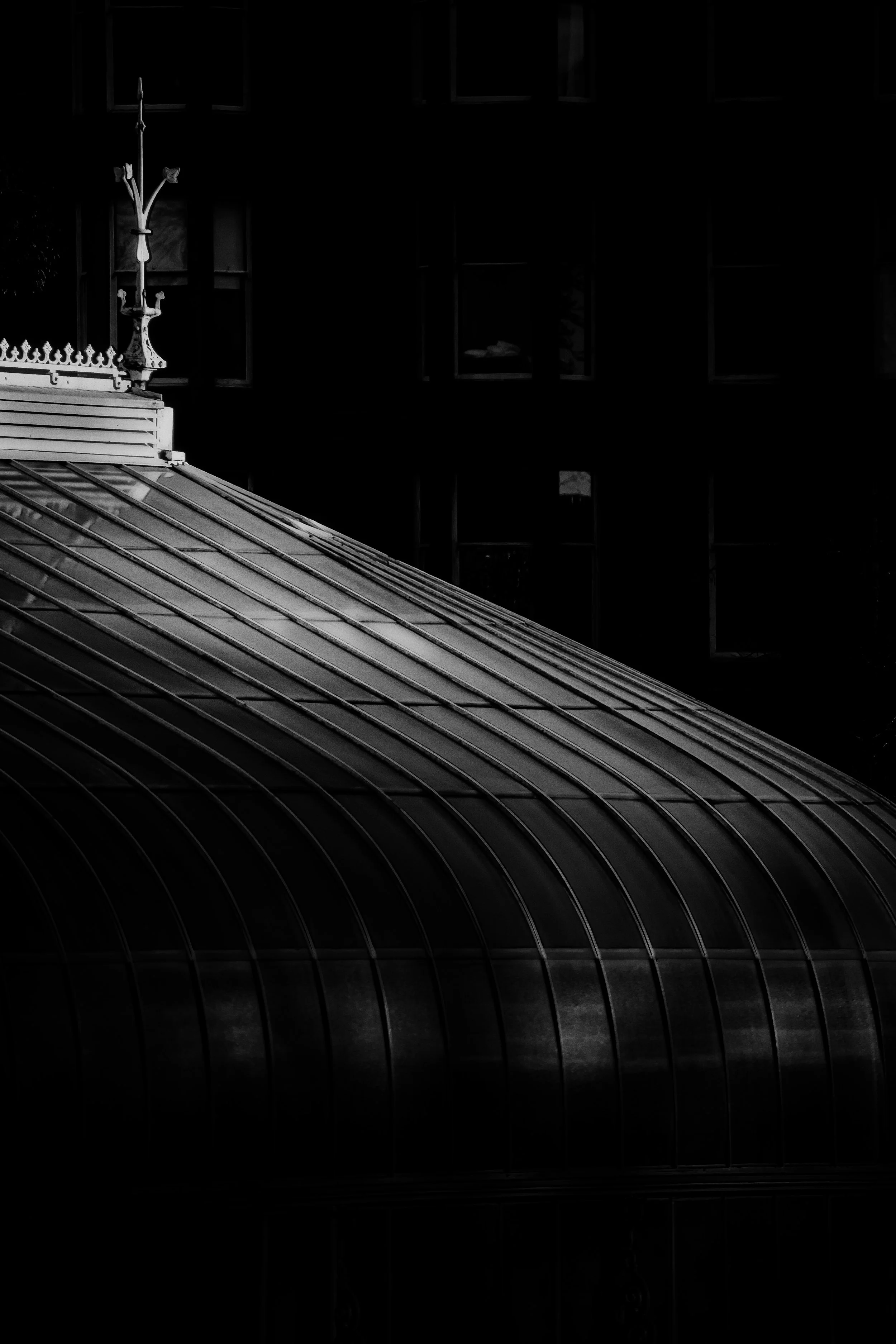 botanical 04 jpg.jpg
