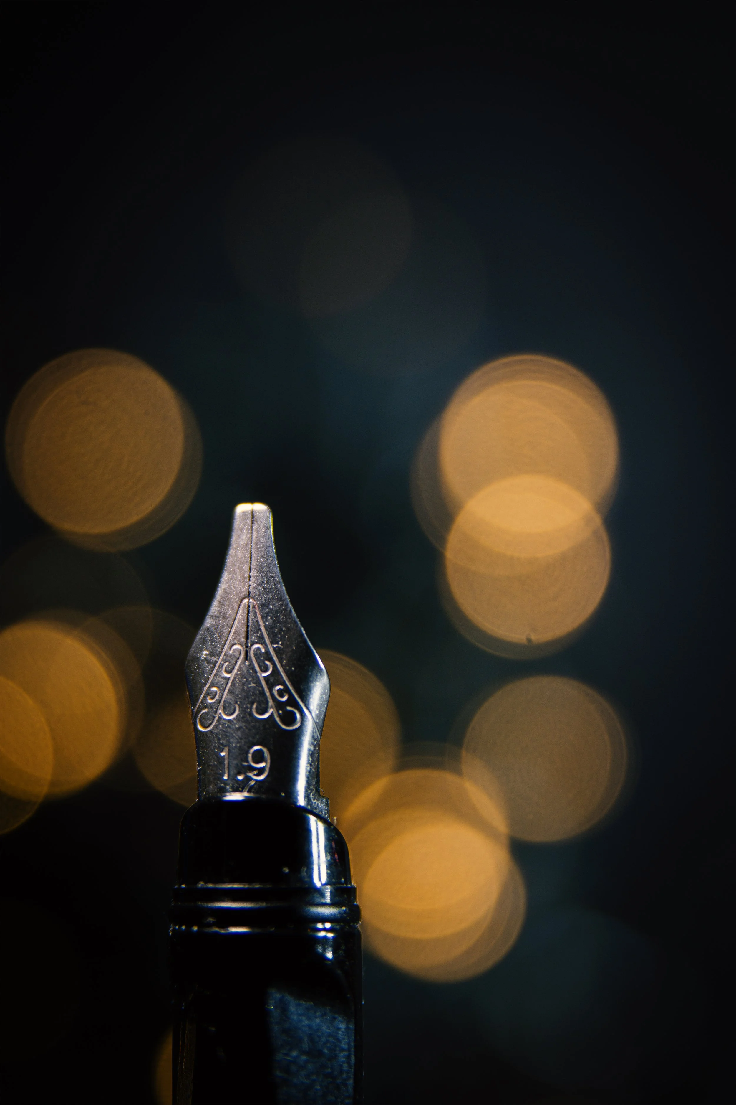 fountain pen 01 jpg.jpg