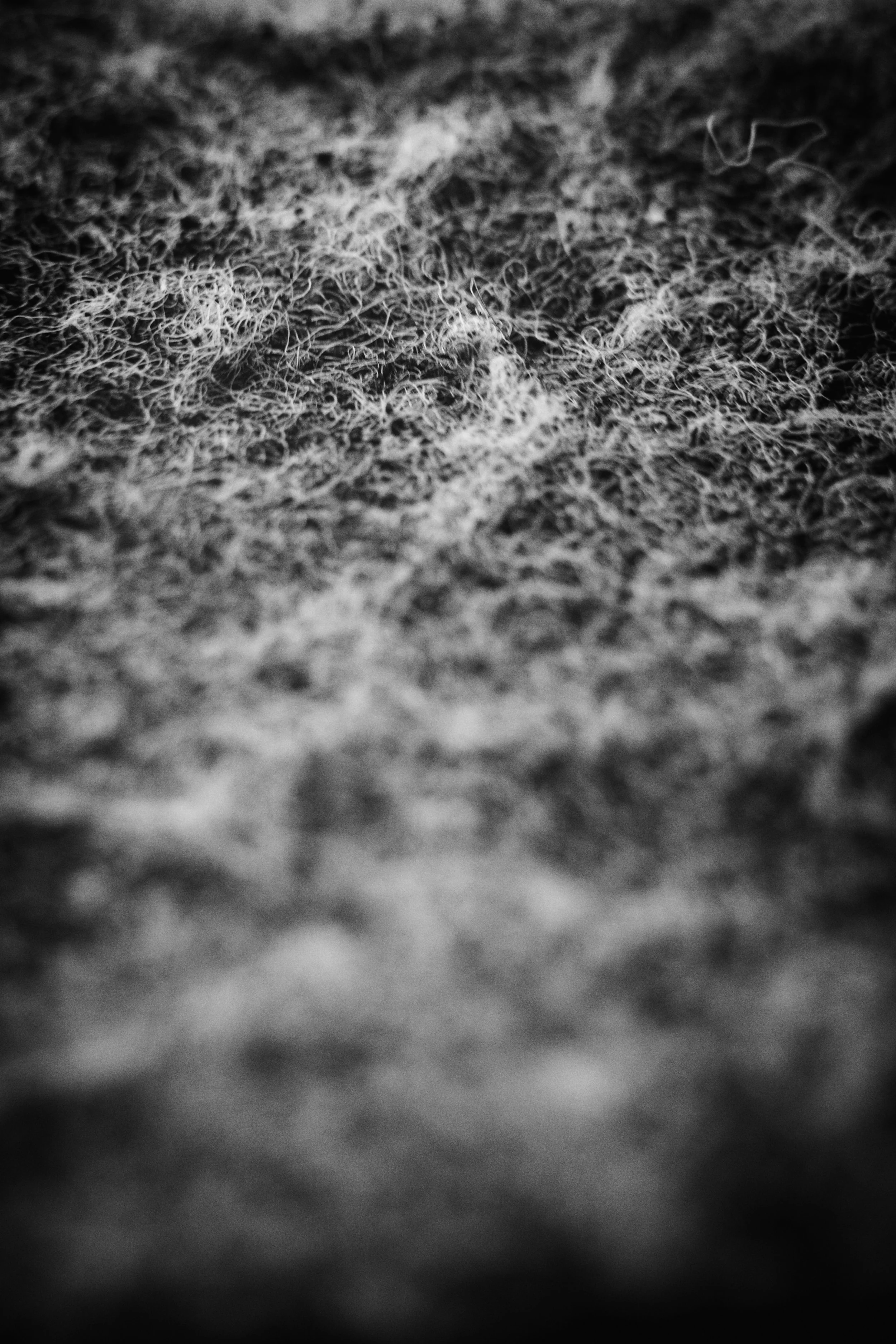 scourer 01 jpg.jpg