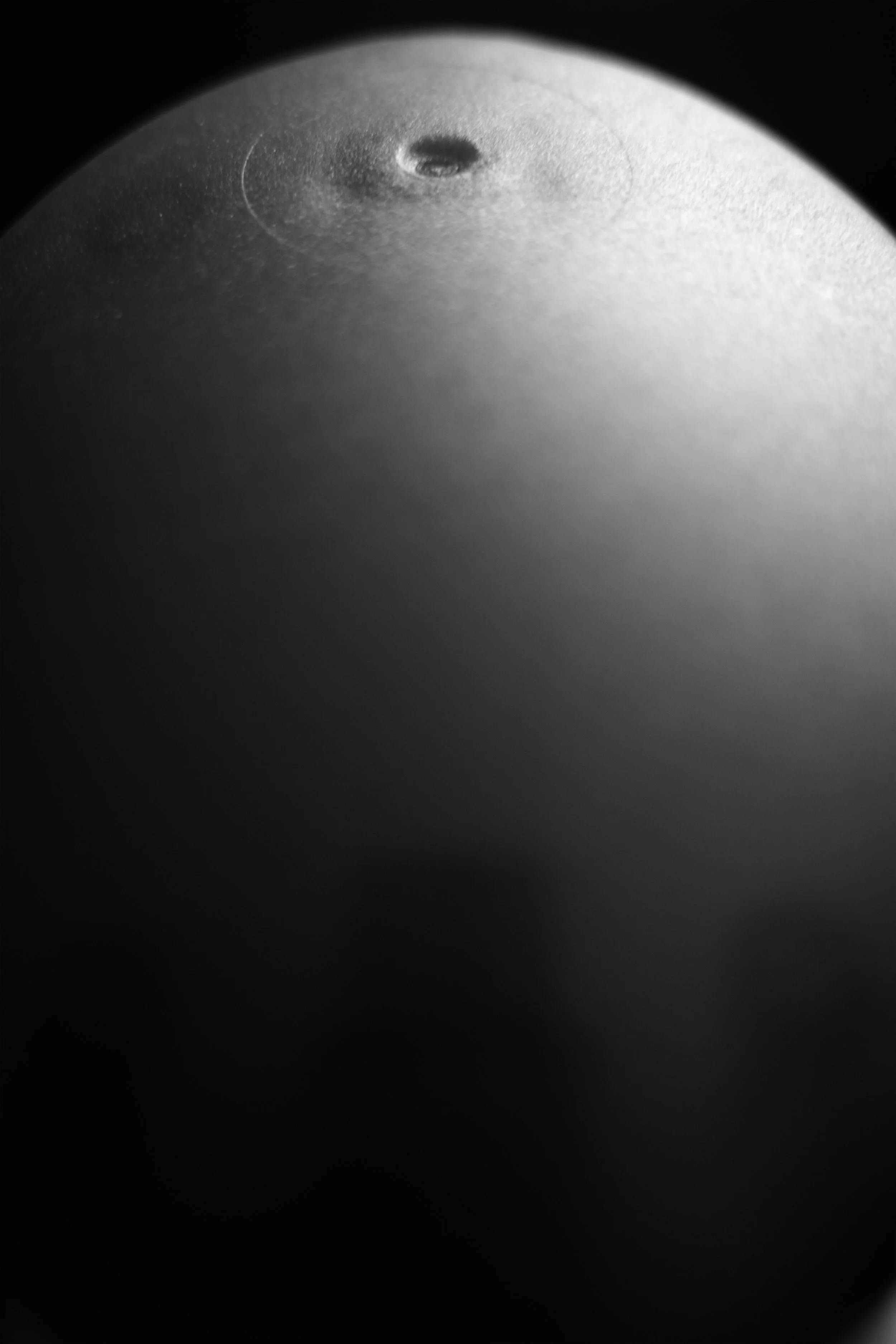egg thing 01 jpg.jpg