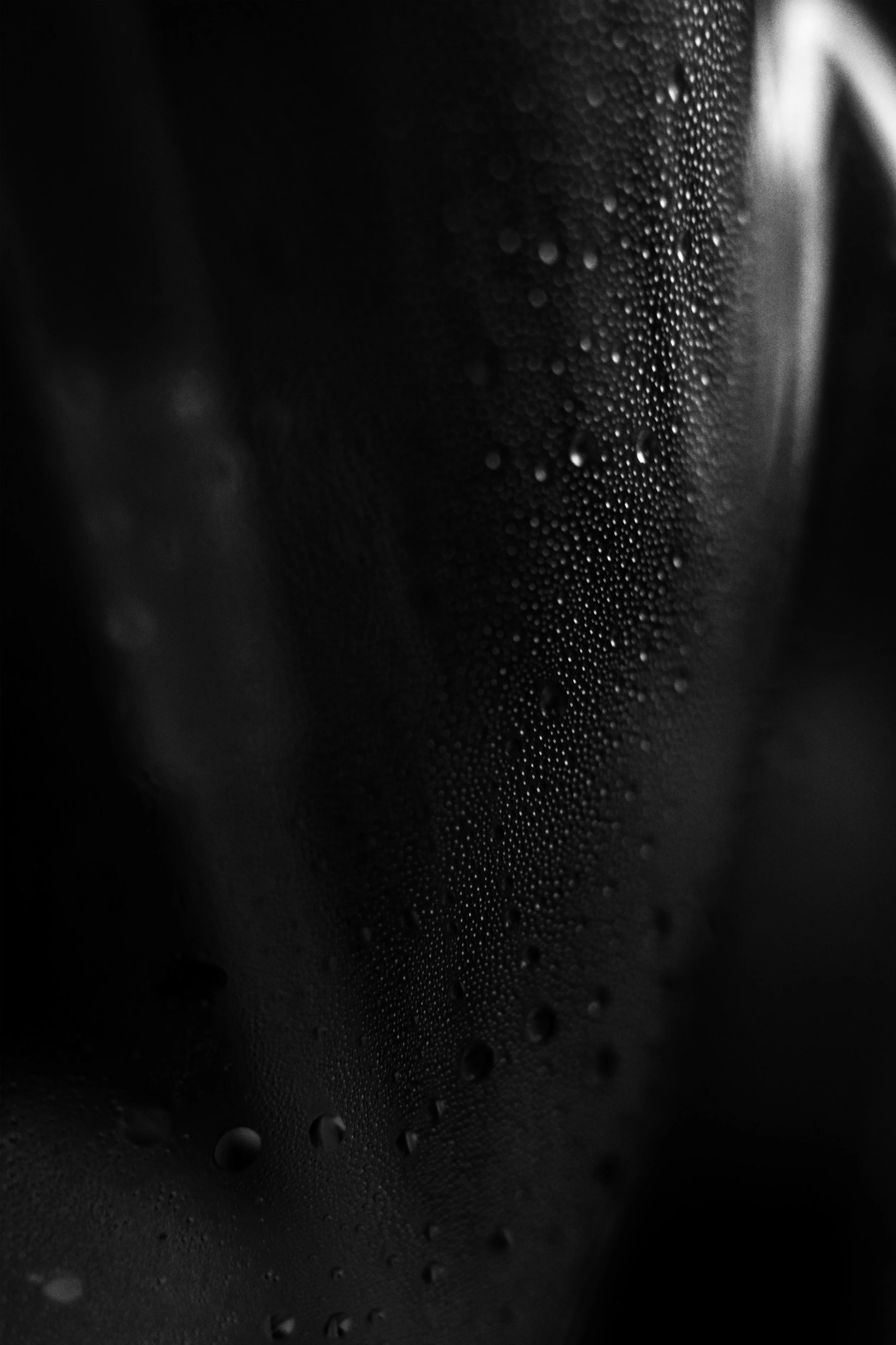 droplets jpg.jpg
