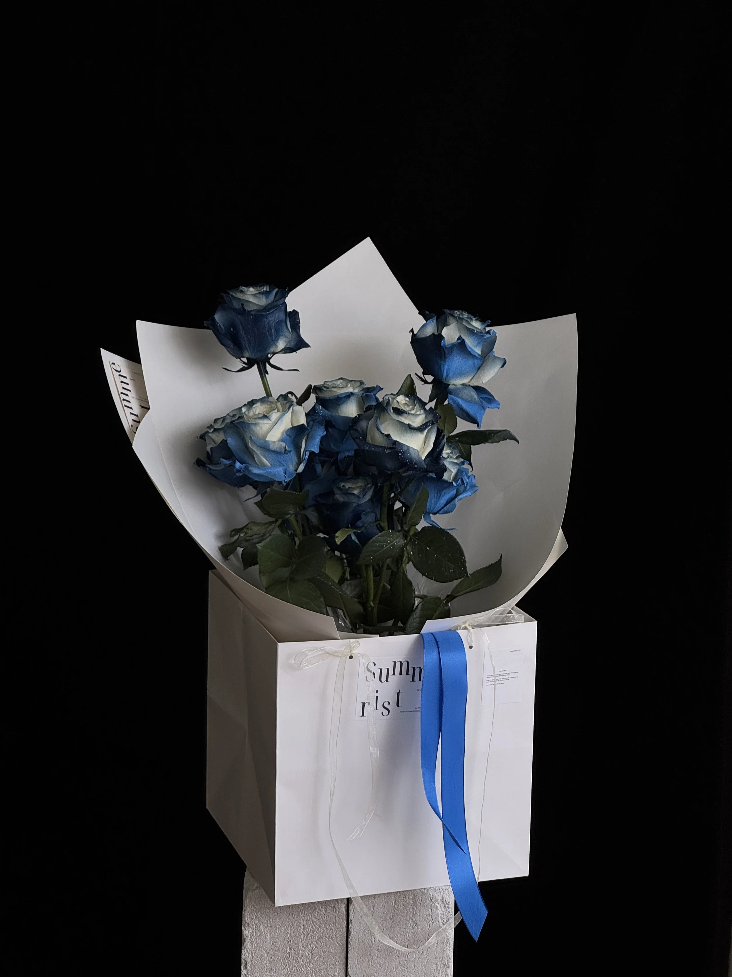 Modern Contemporary Dark Blue